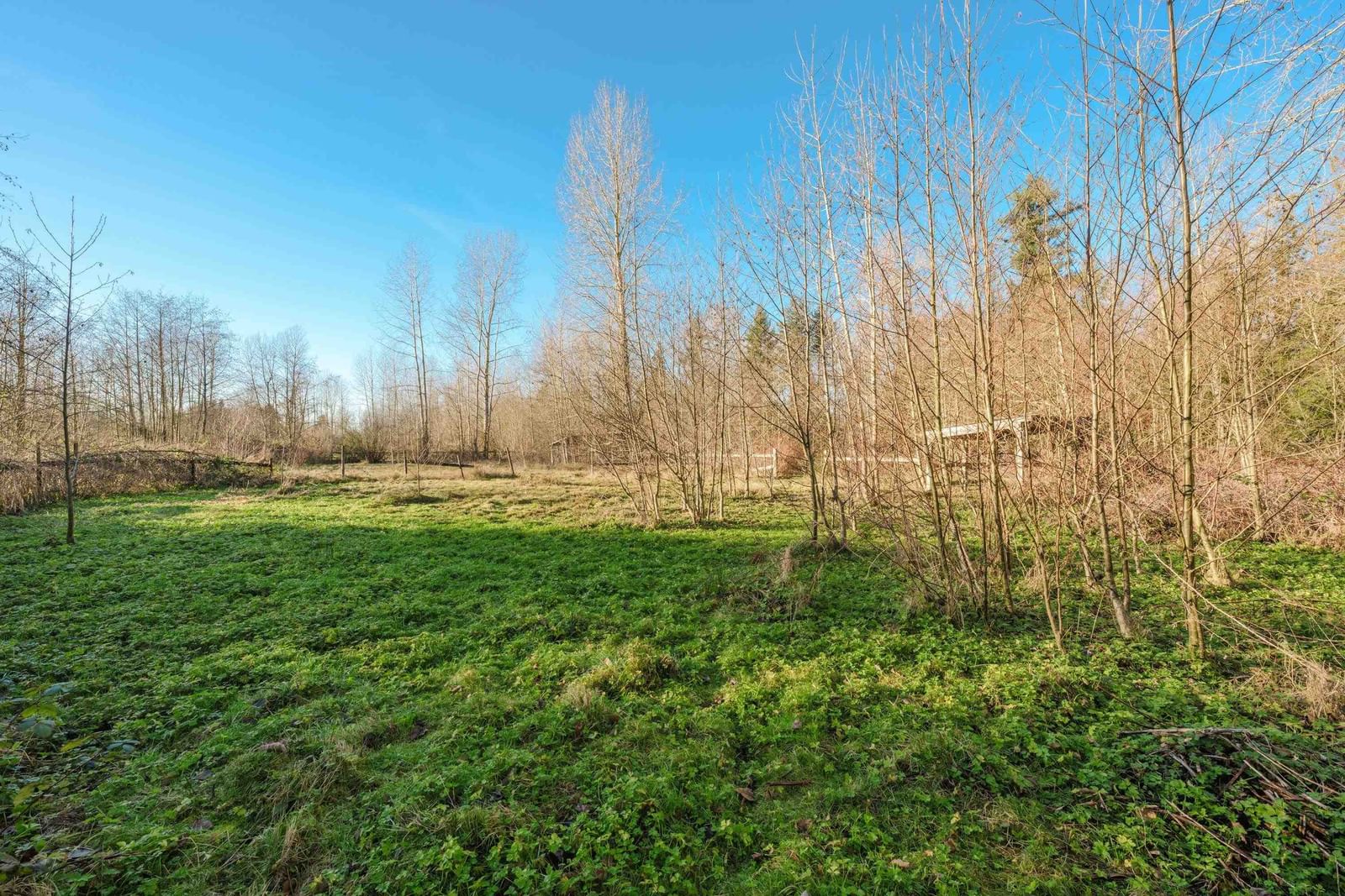 Listing Image 28