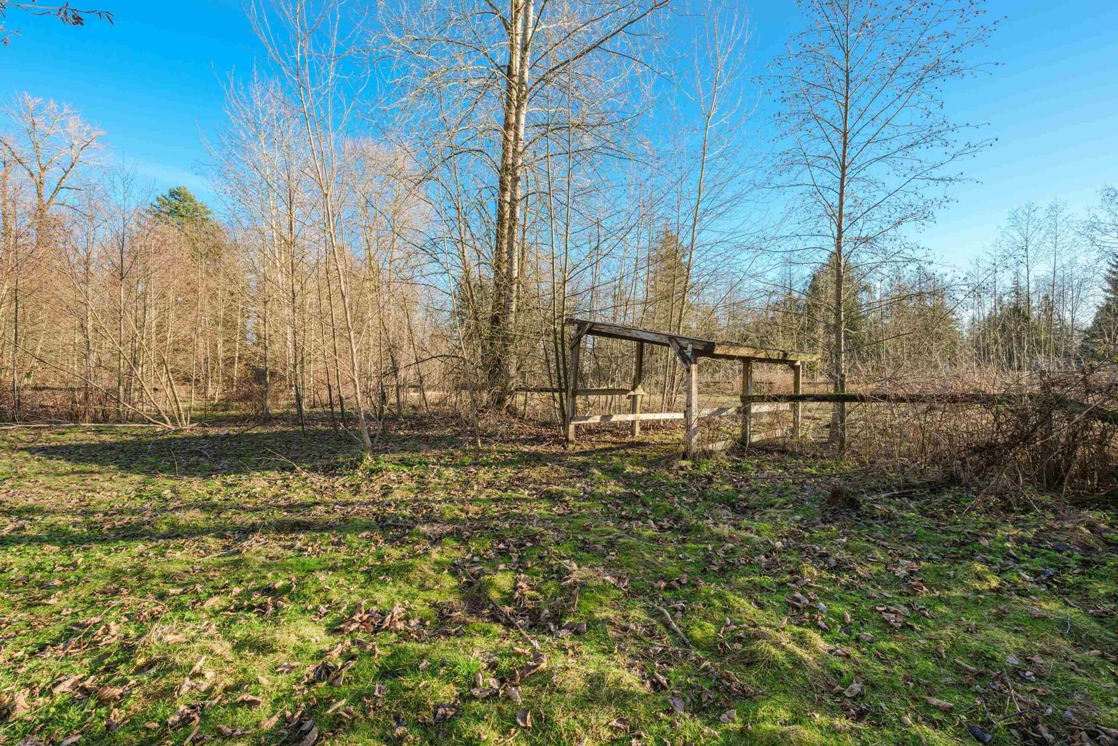 Listing Image 33