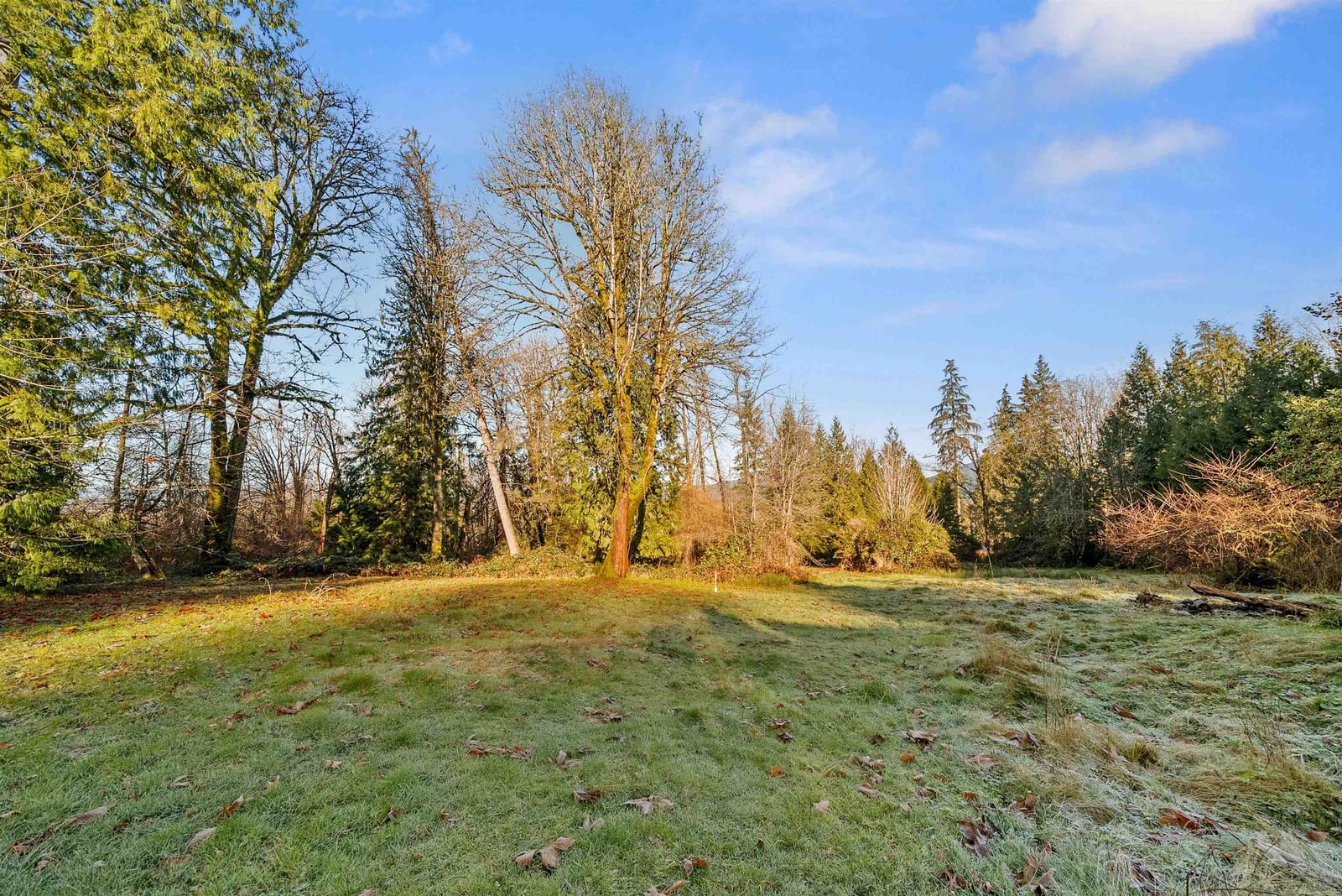 Listing Image 33