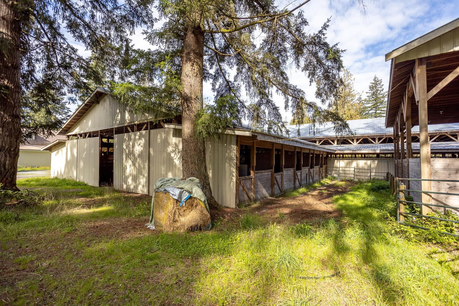 Listing Image 31