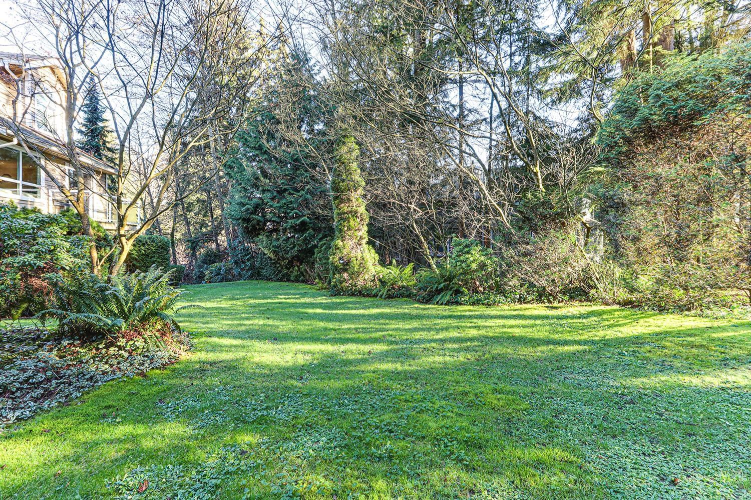 Listing Image 39