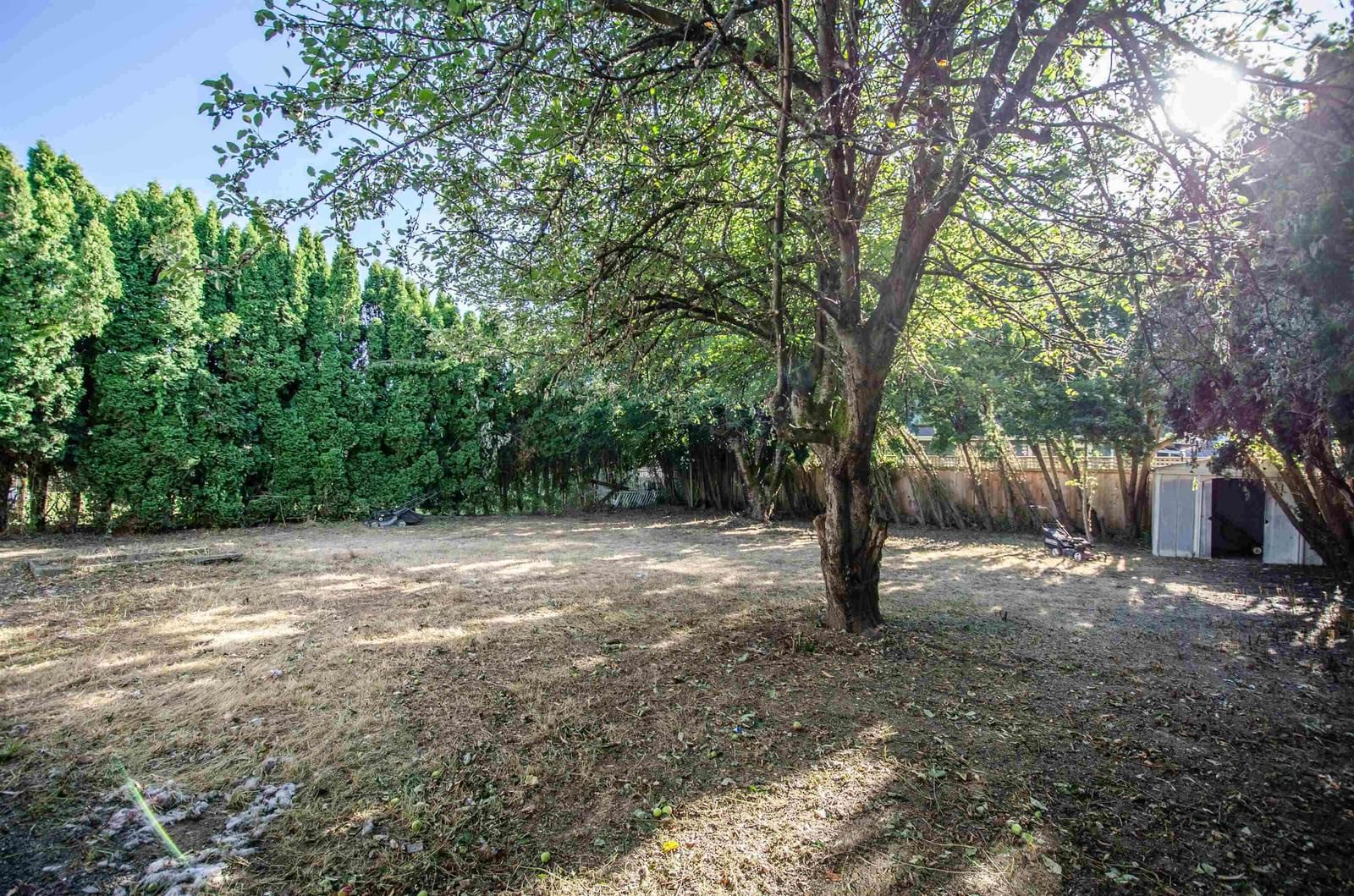 Listing Image 35