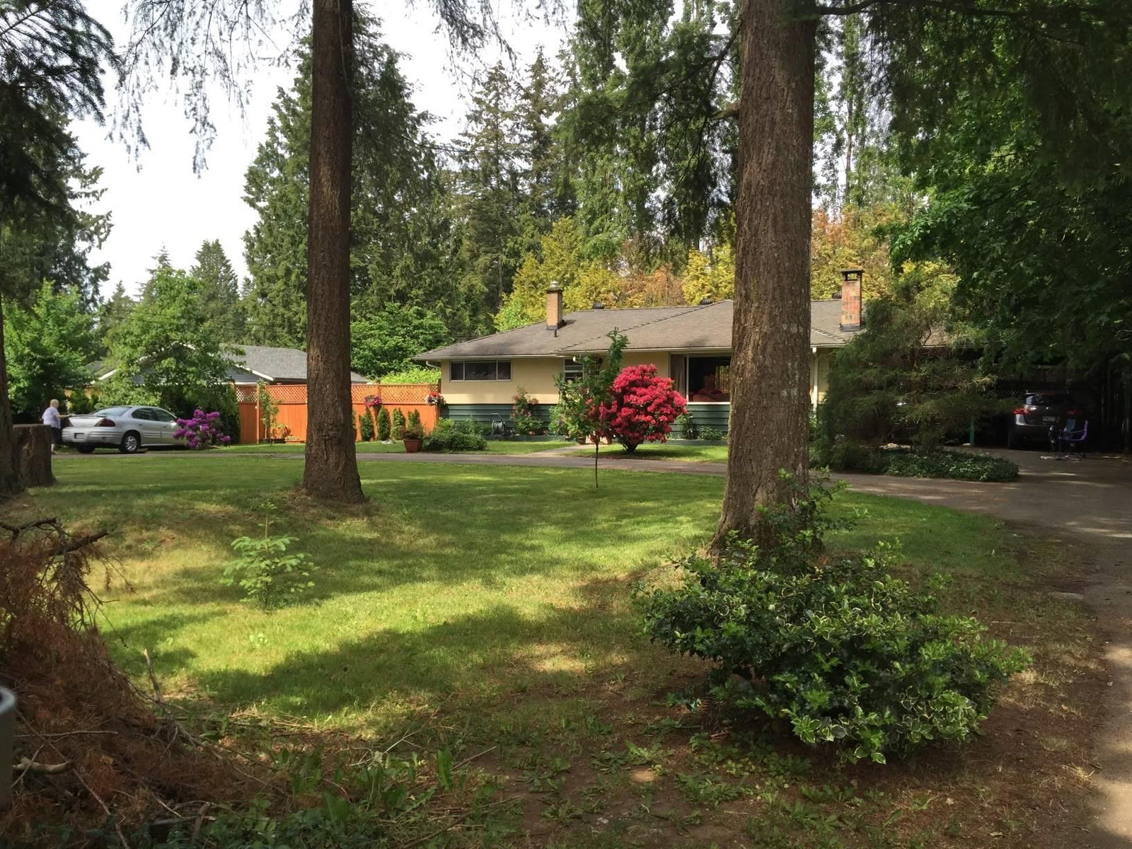 Listing Image 39