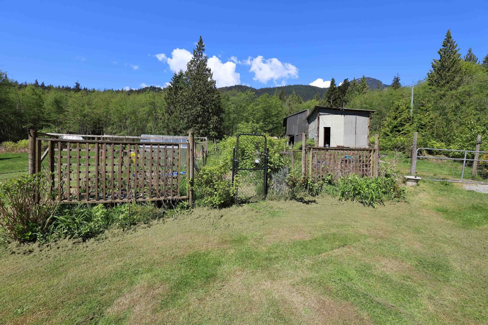Listing Image 13