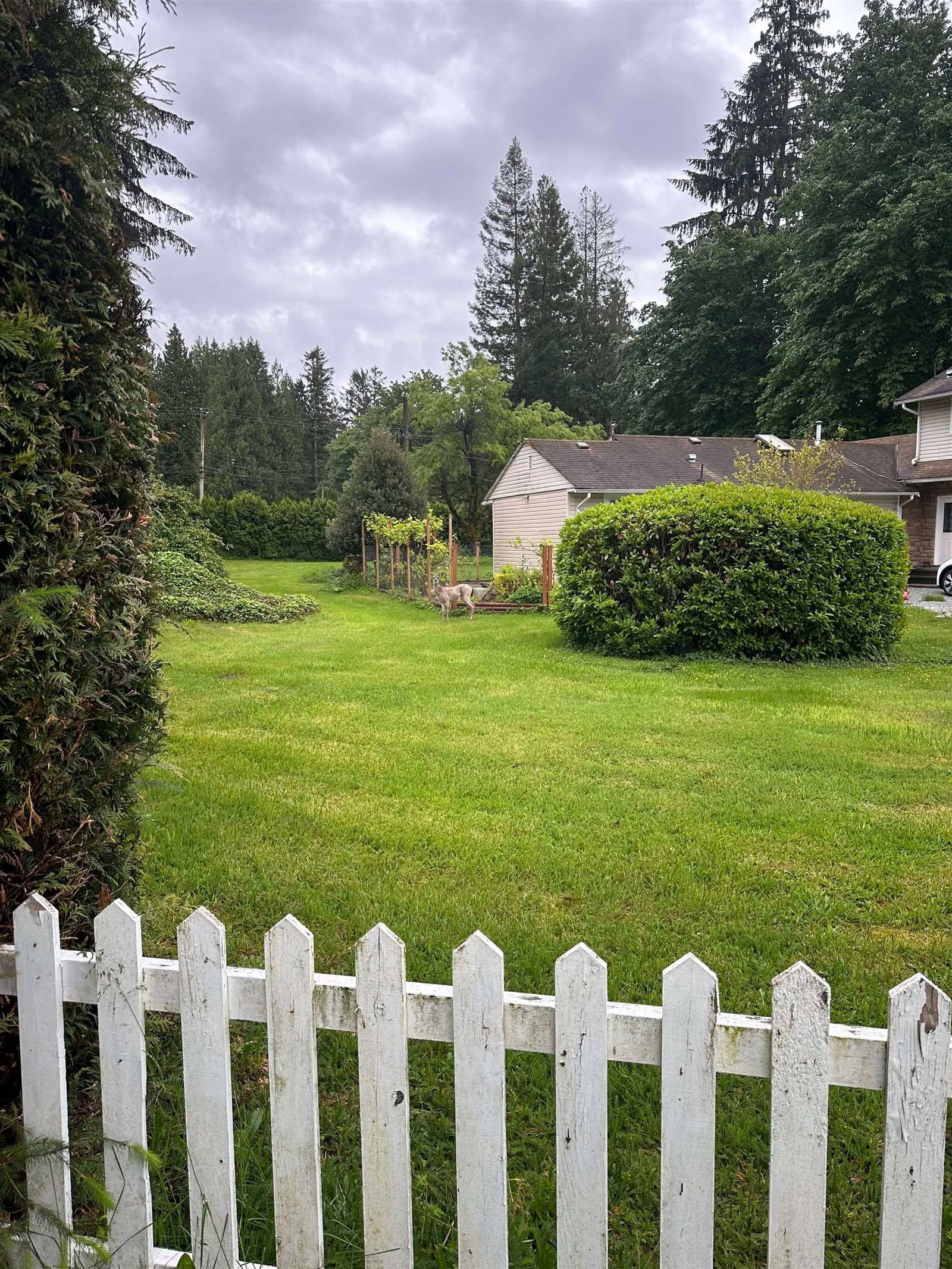 Listing Image 32