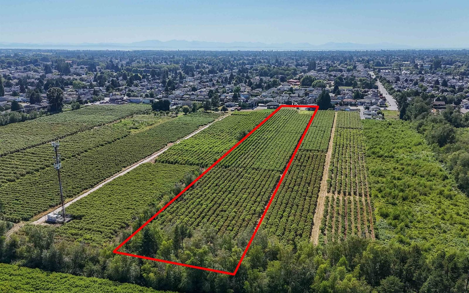 Listing Image 15