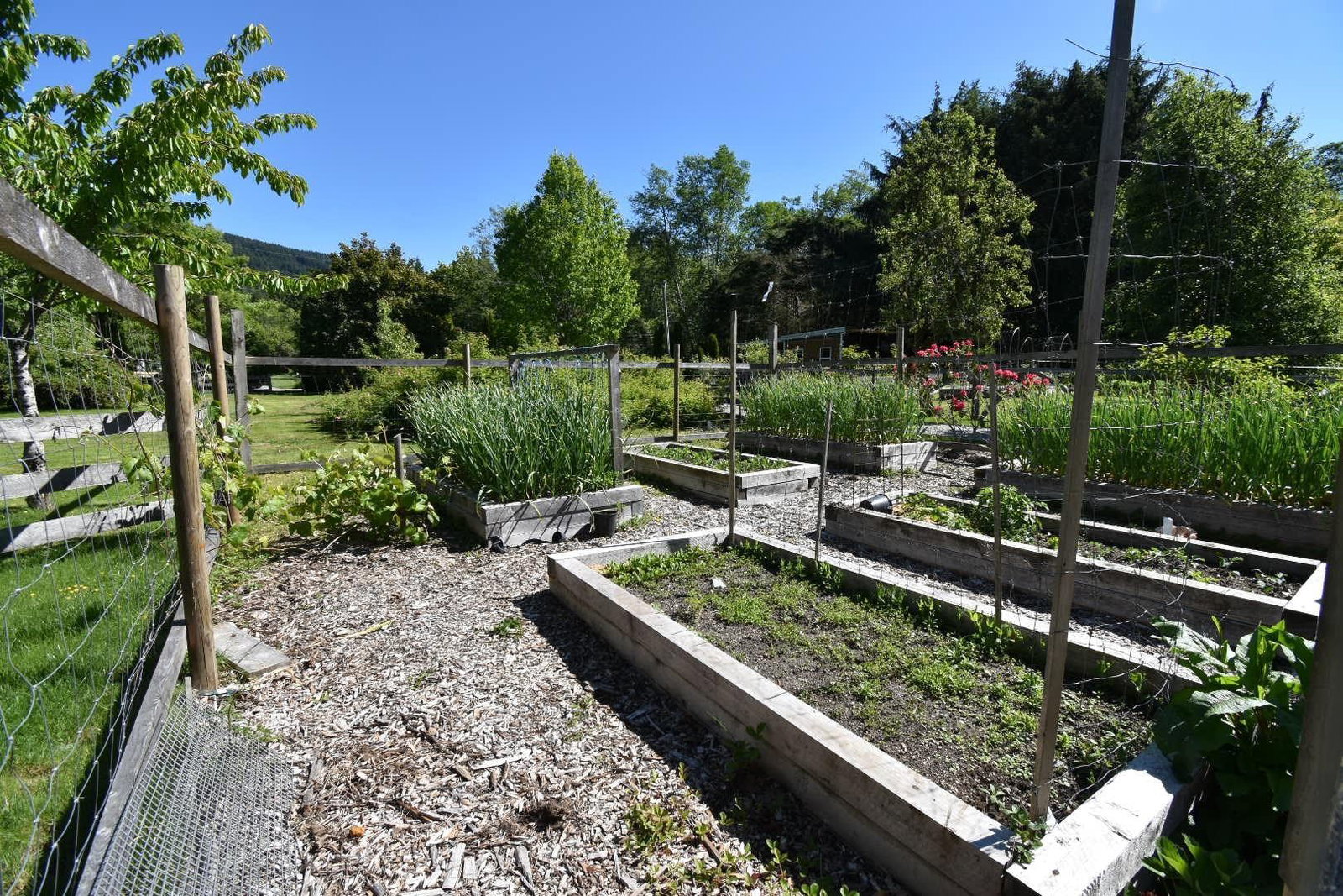 Listing Image 39