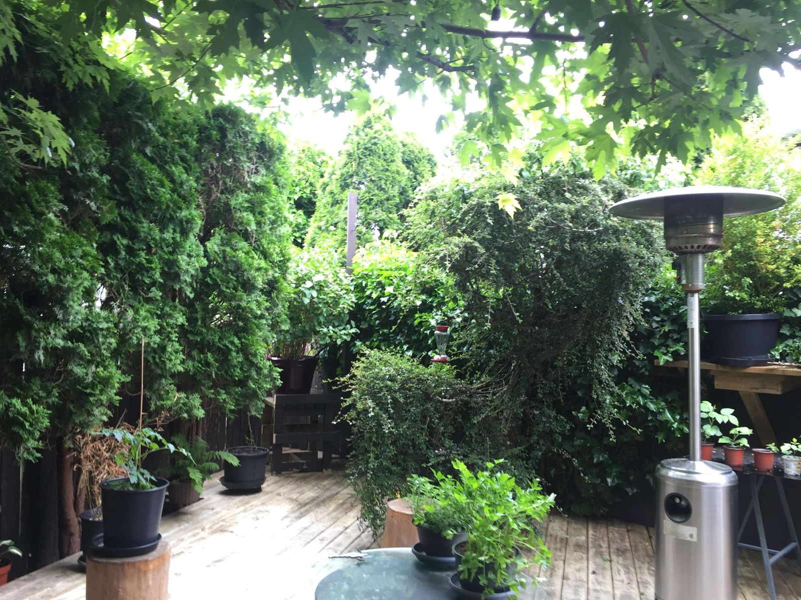 Listing Image 39