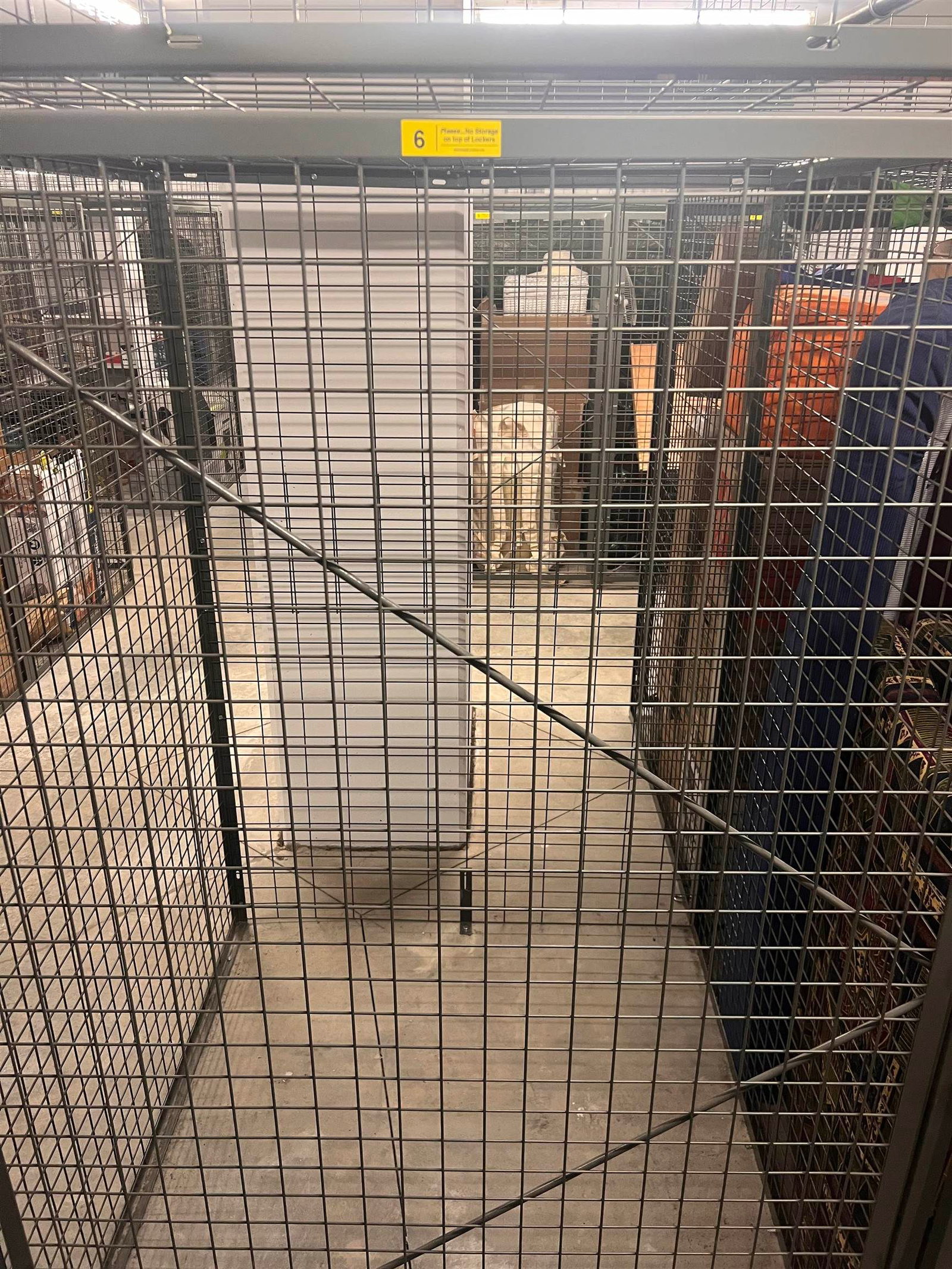 Listing Image 27