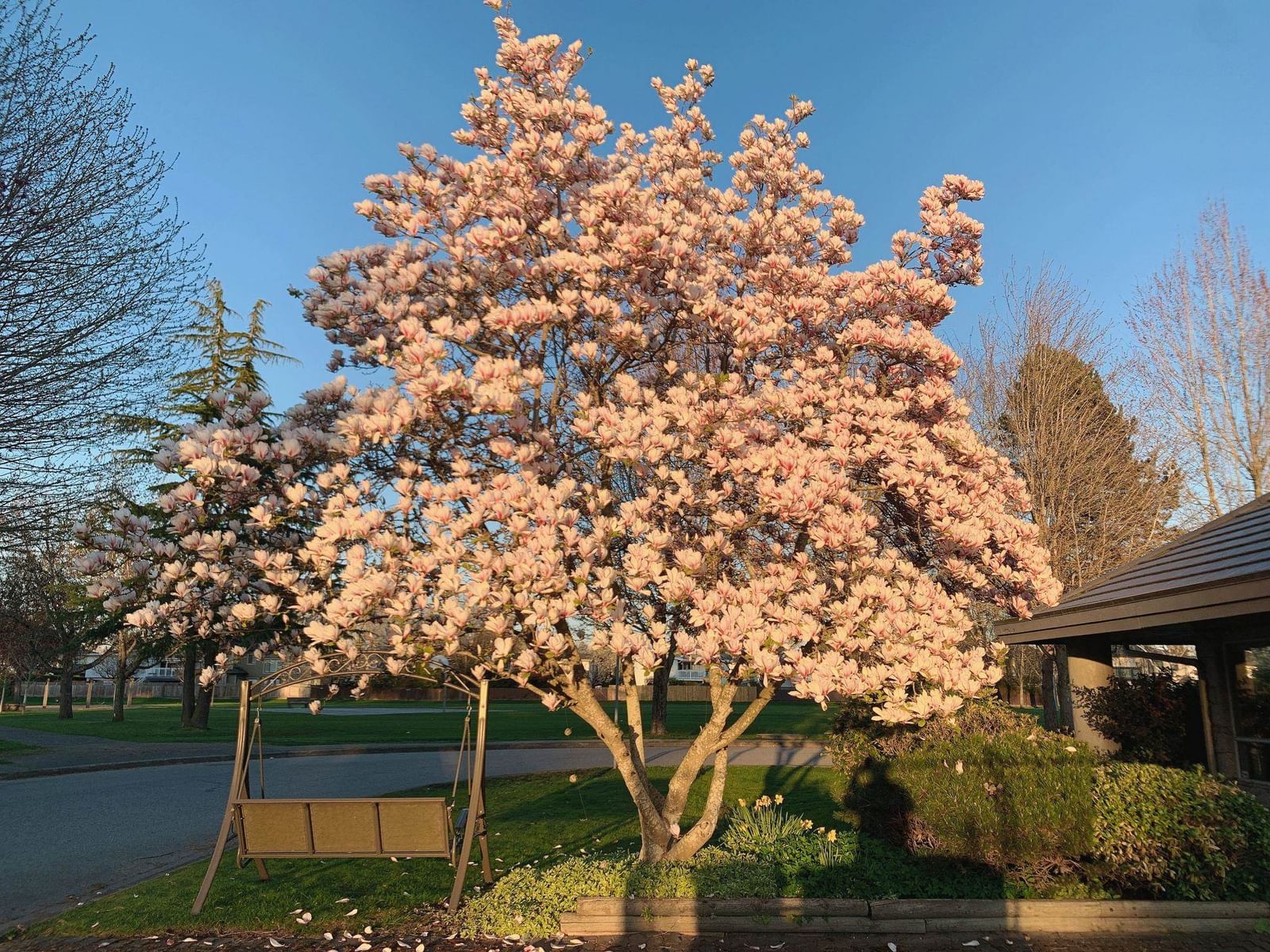 Listing Image 32