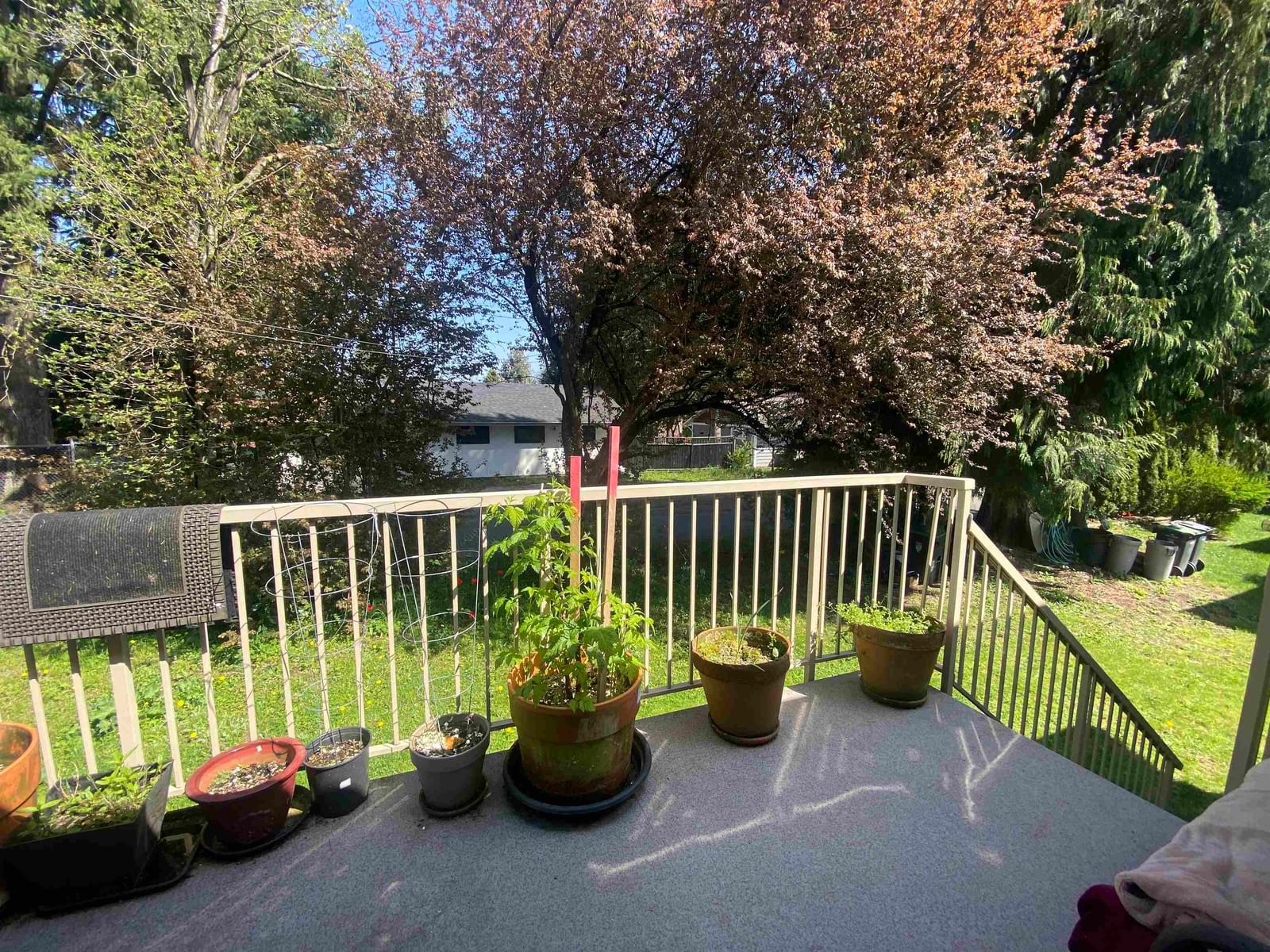 Listing Image 12