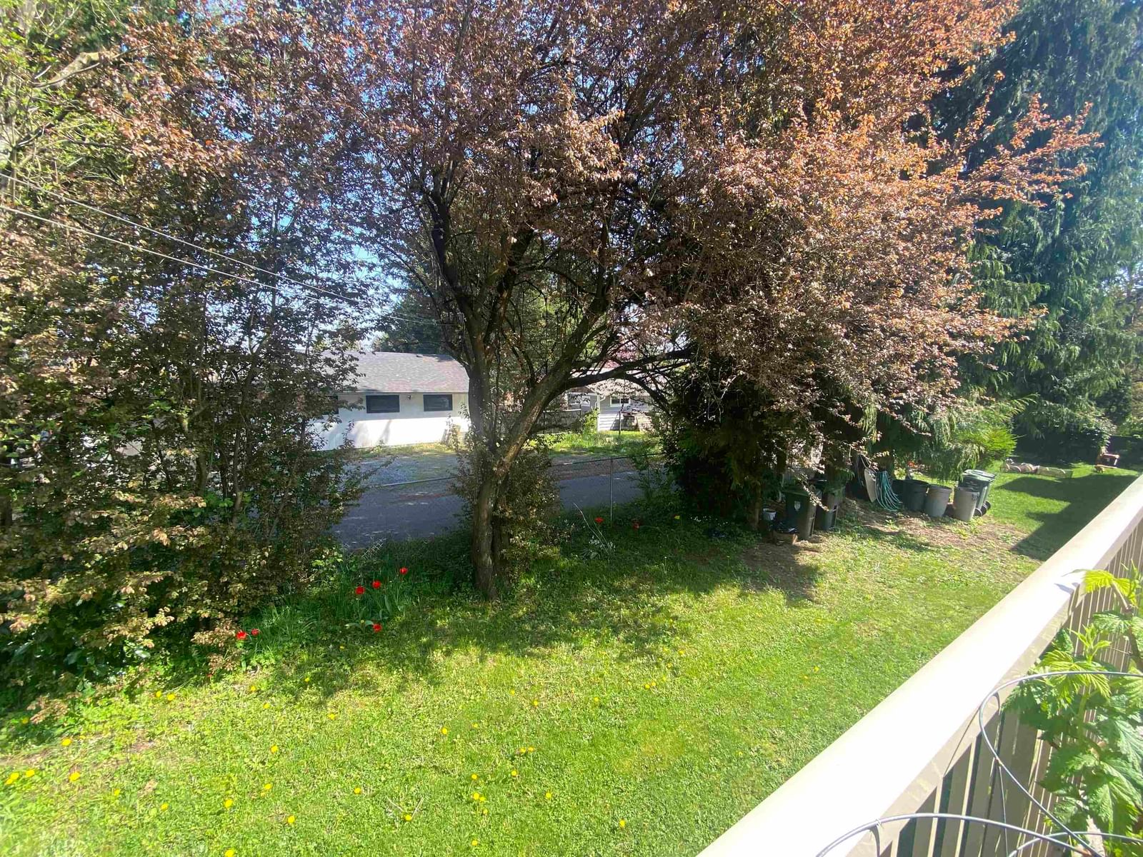 Listing Image 13