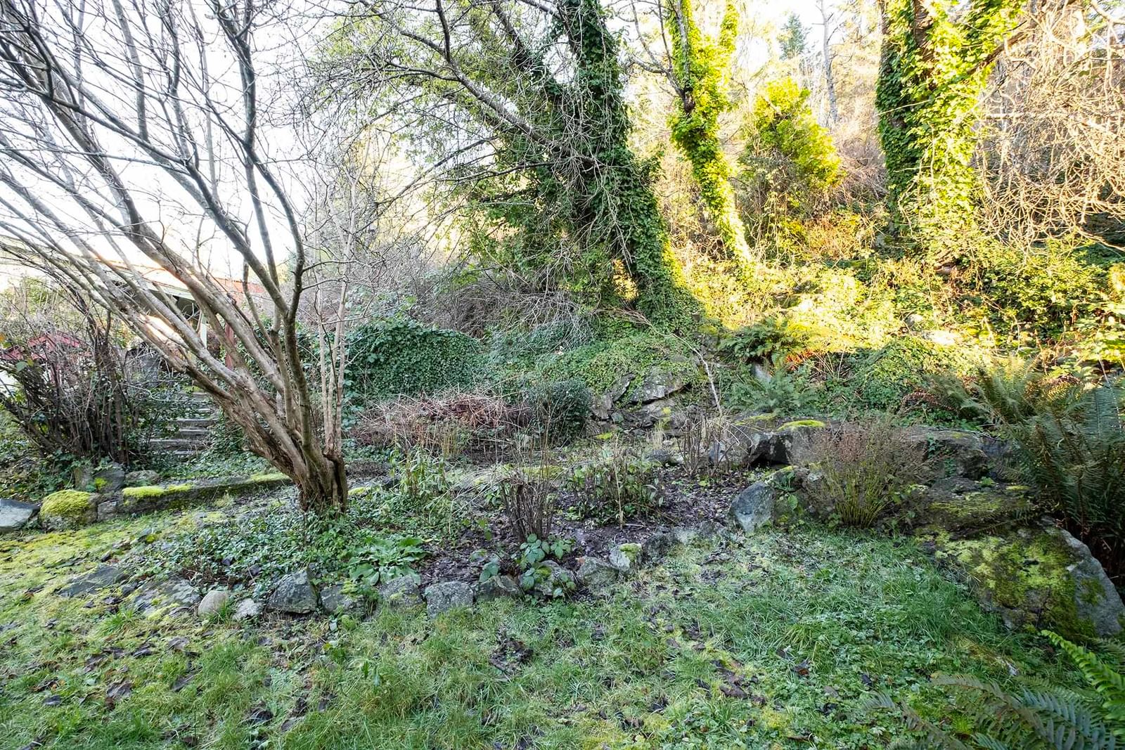 Listing Image 29
