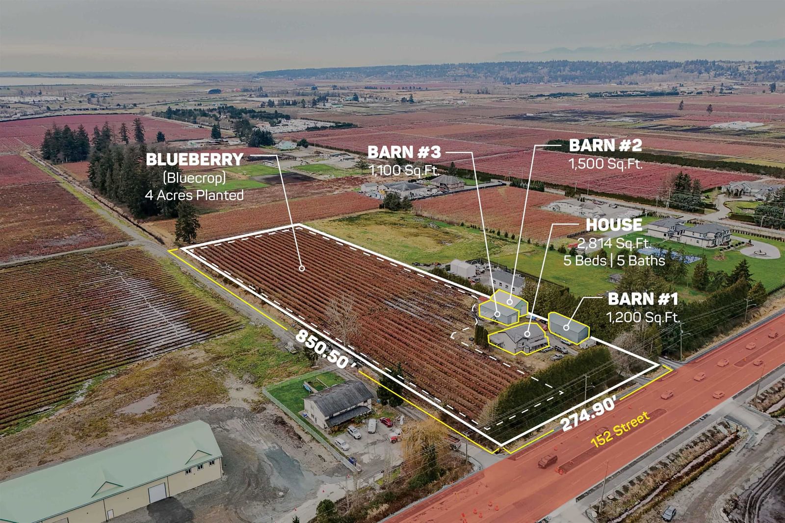 Listing Image 1