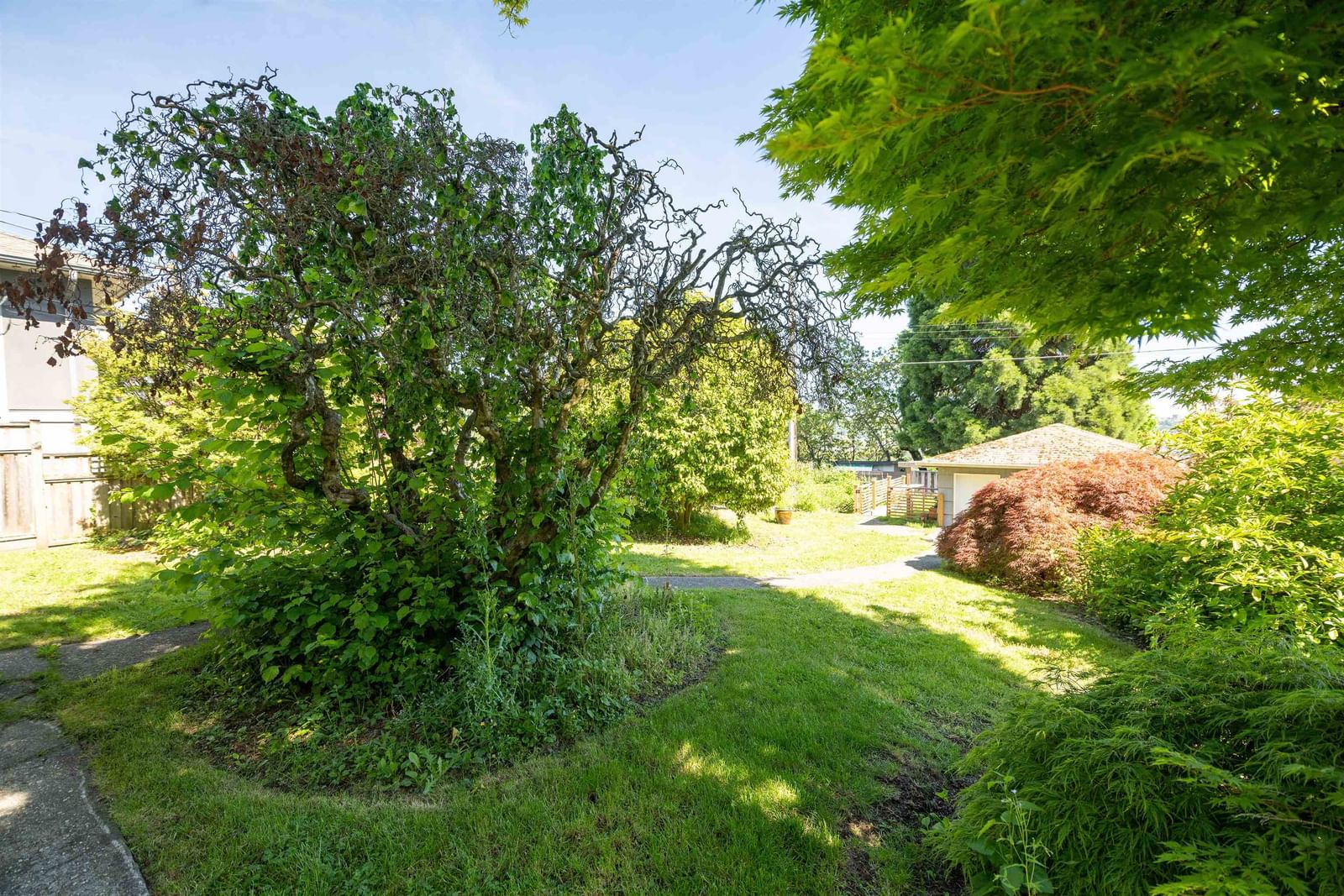 Listing Image 17