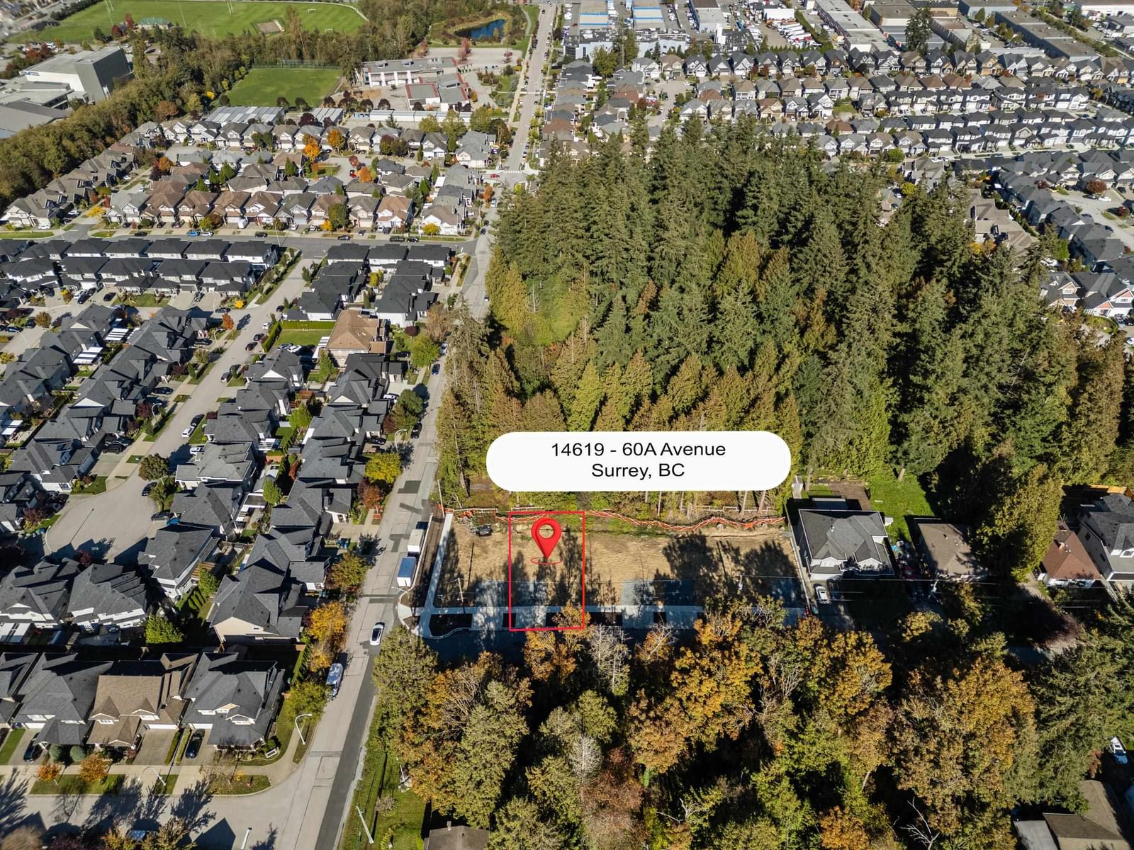 Listing Image 1