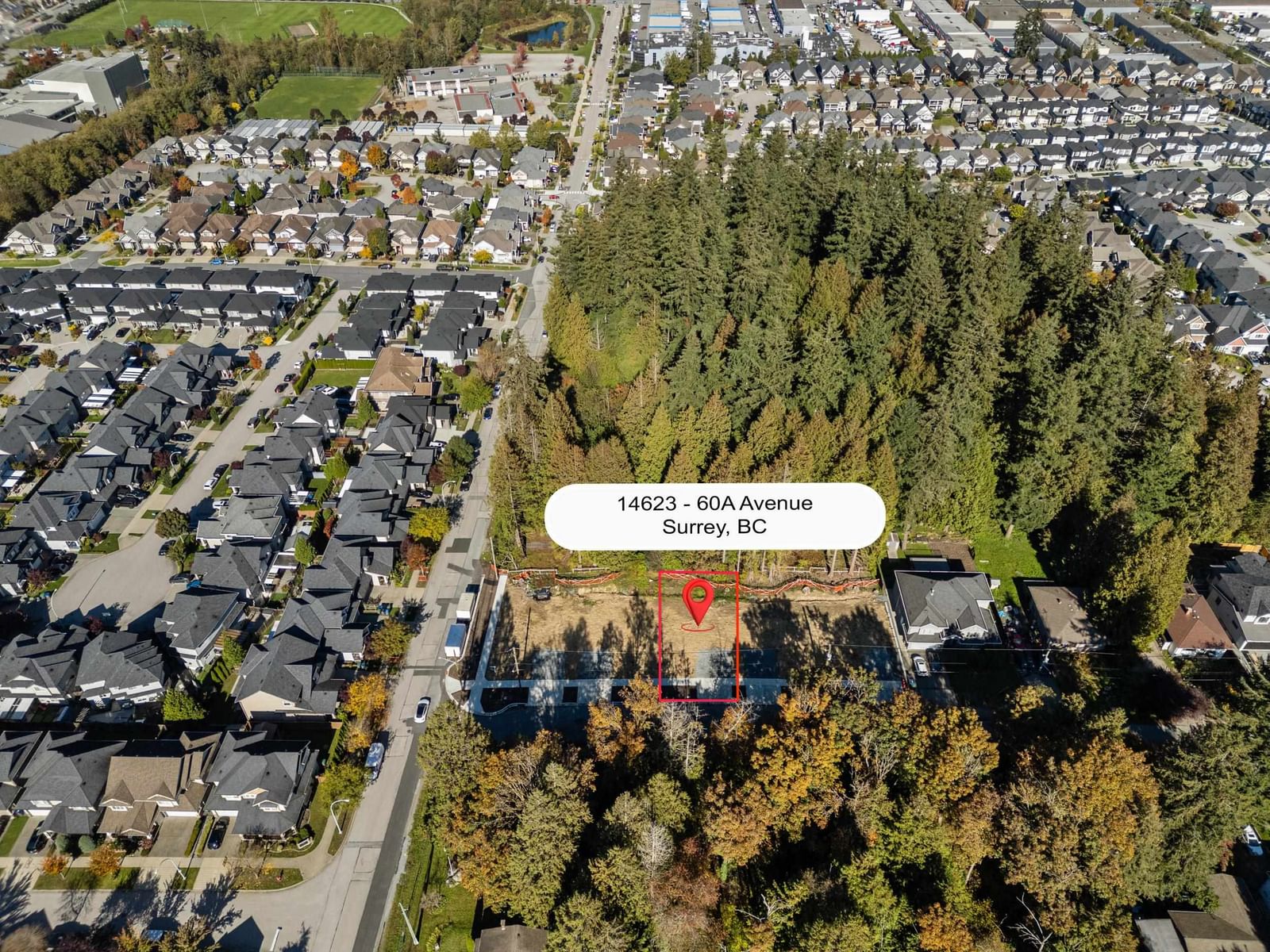 Listing Image 1