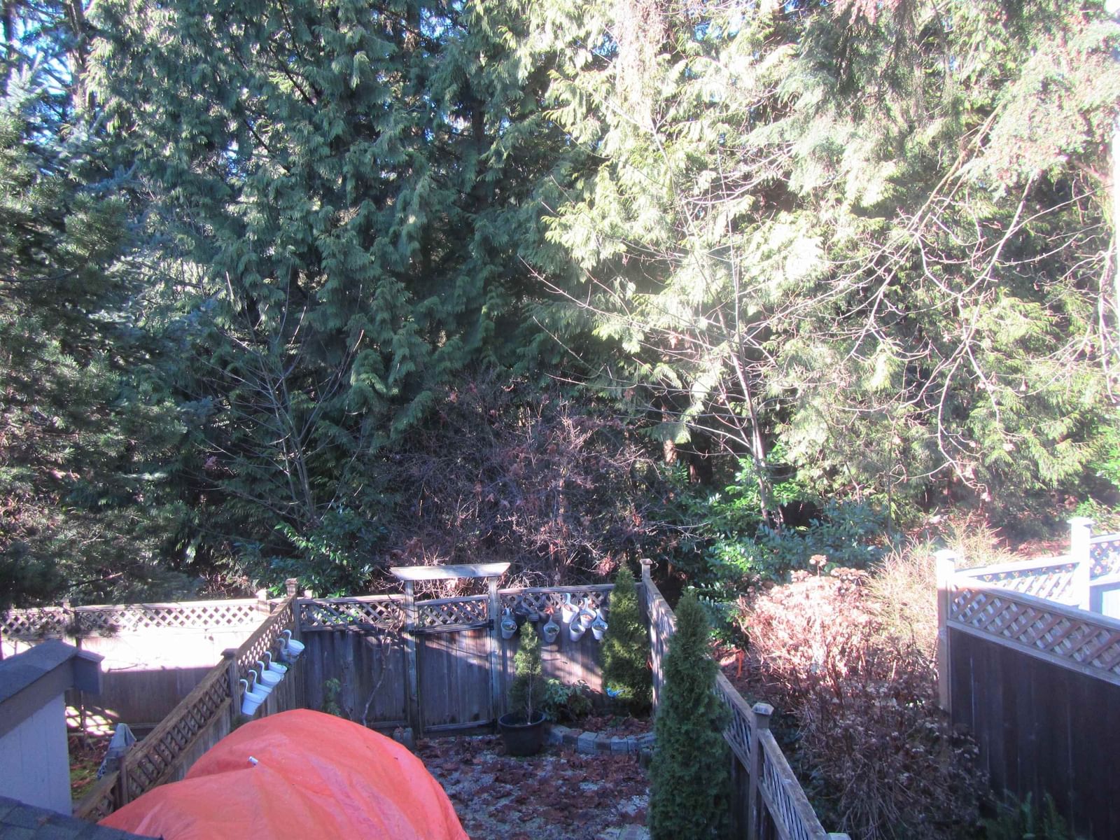 Listing Image 17