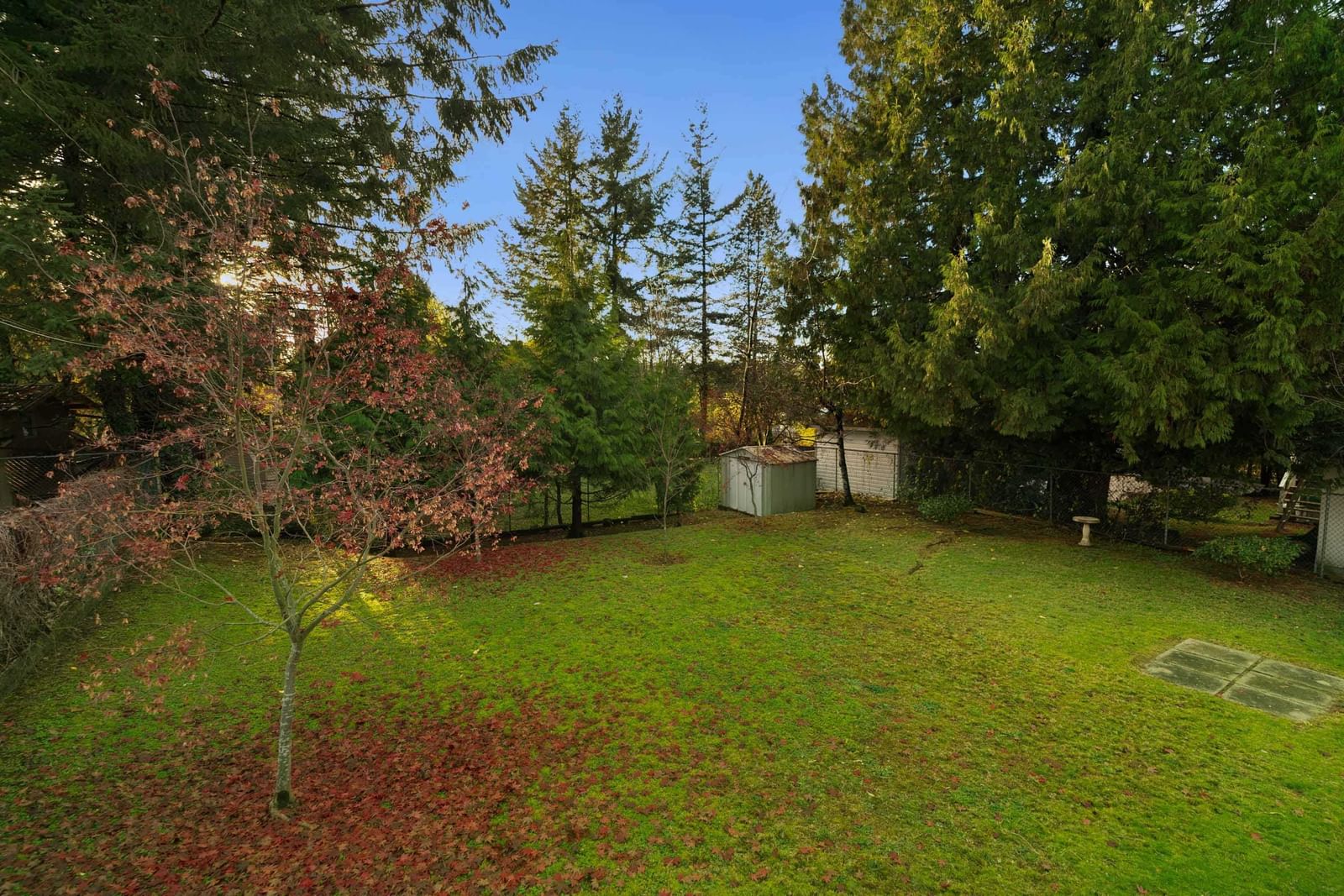 Listing Image 37