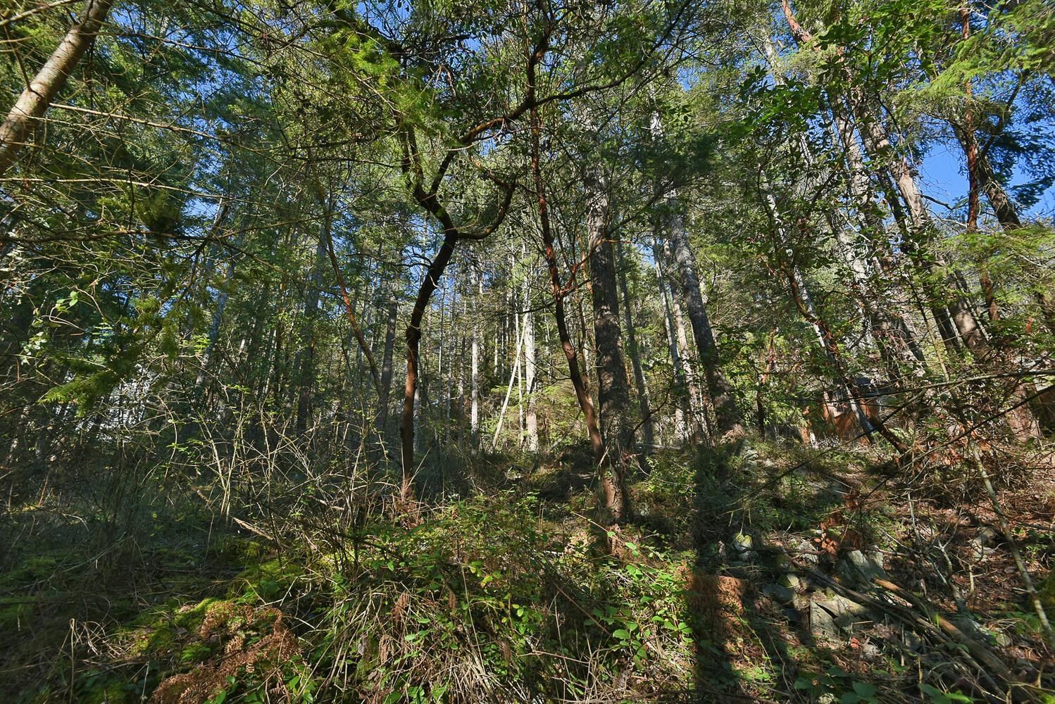 Listing Image 29