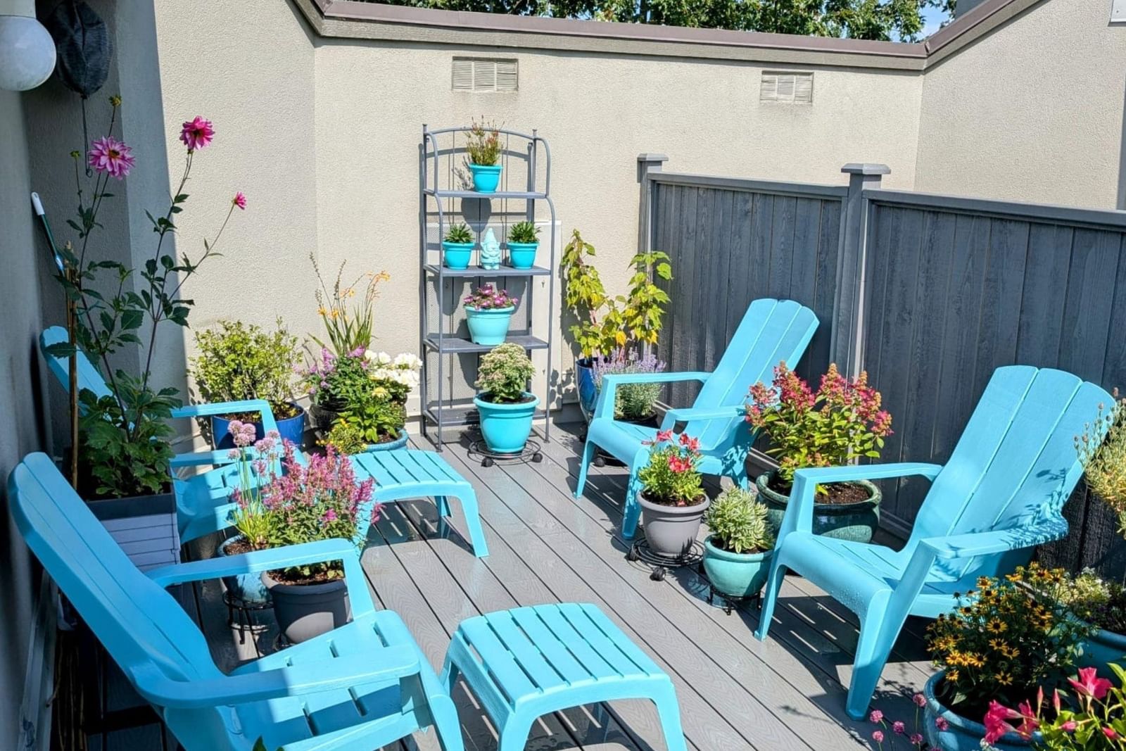 Listing Image 19
