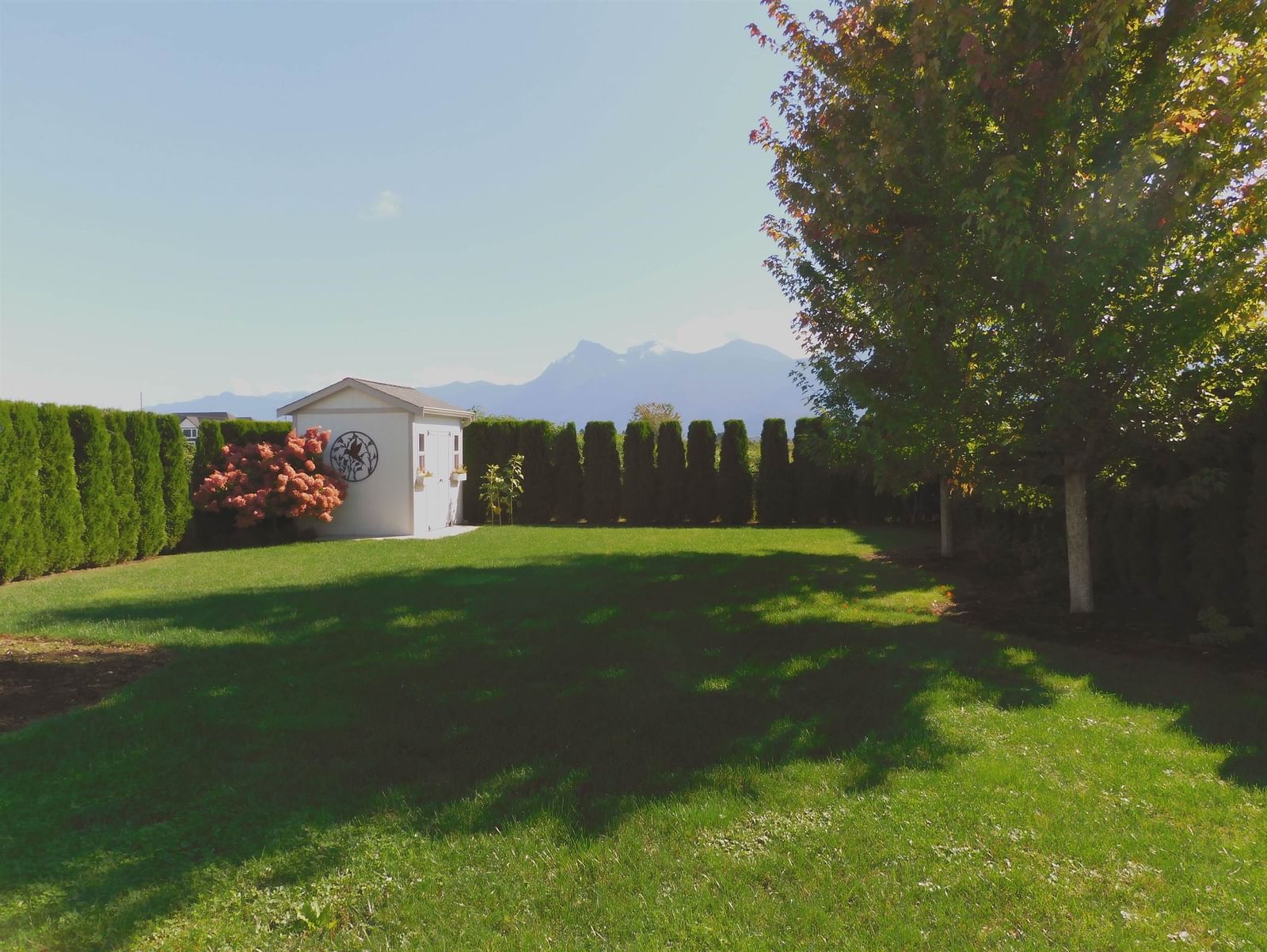 Listing Image 38