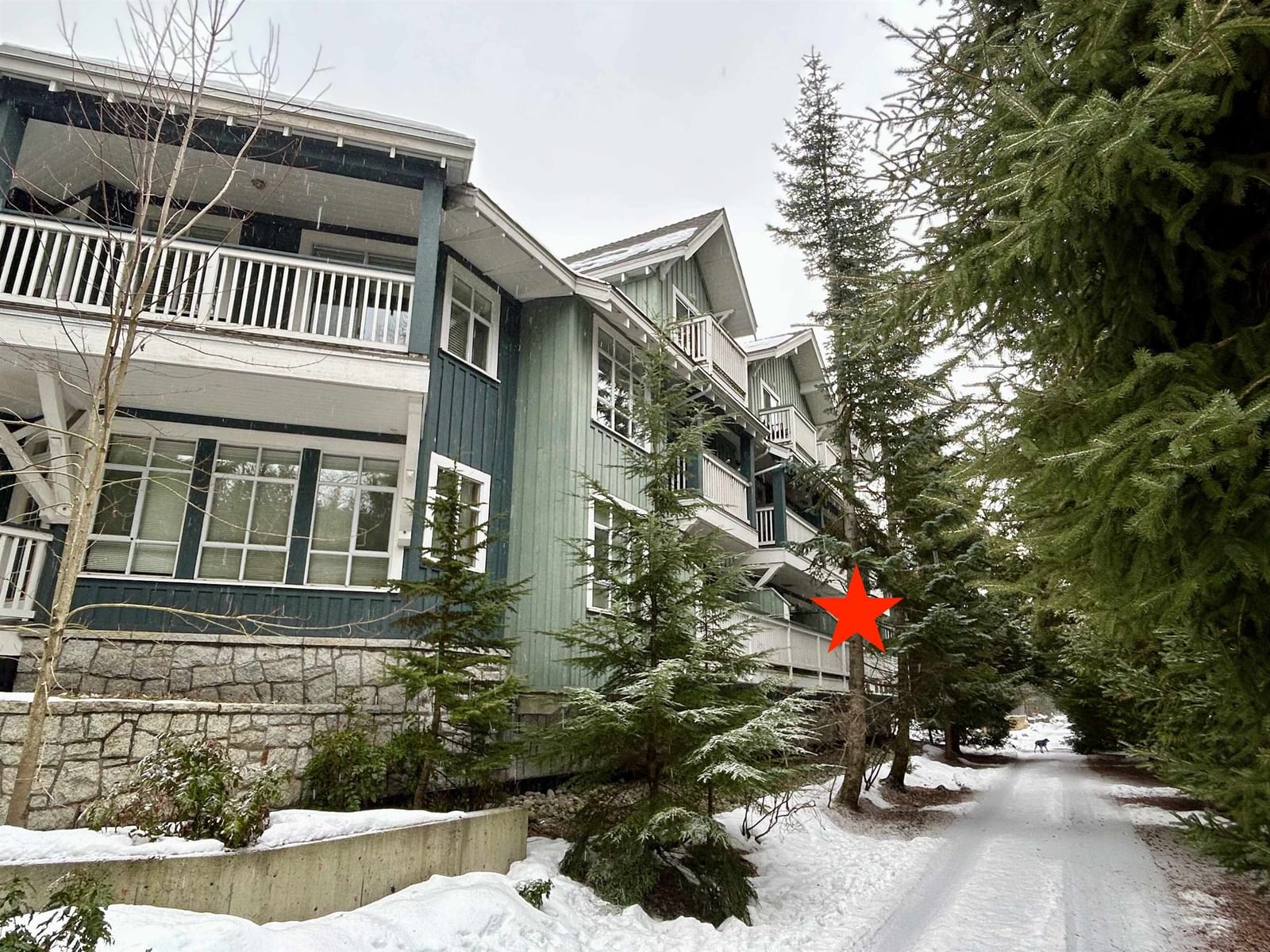 Listing Image 1