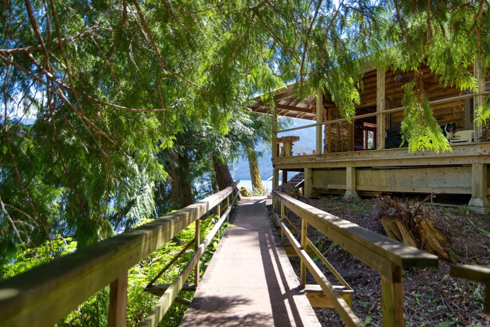 Listing Image 15