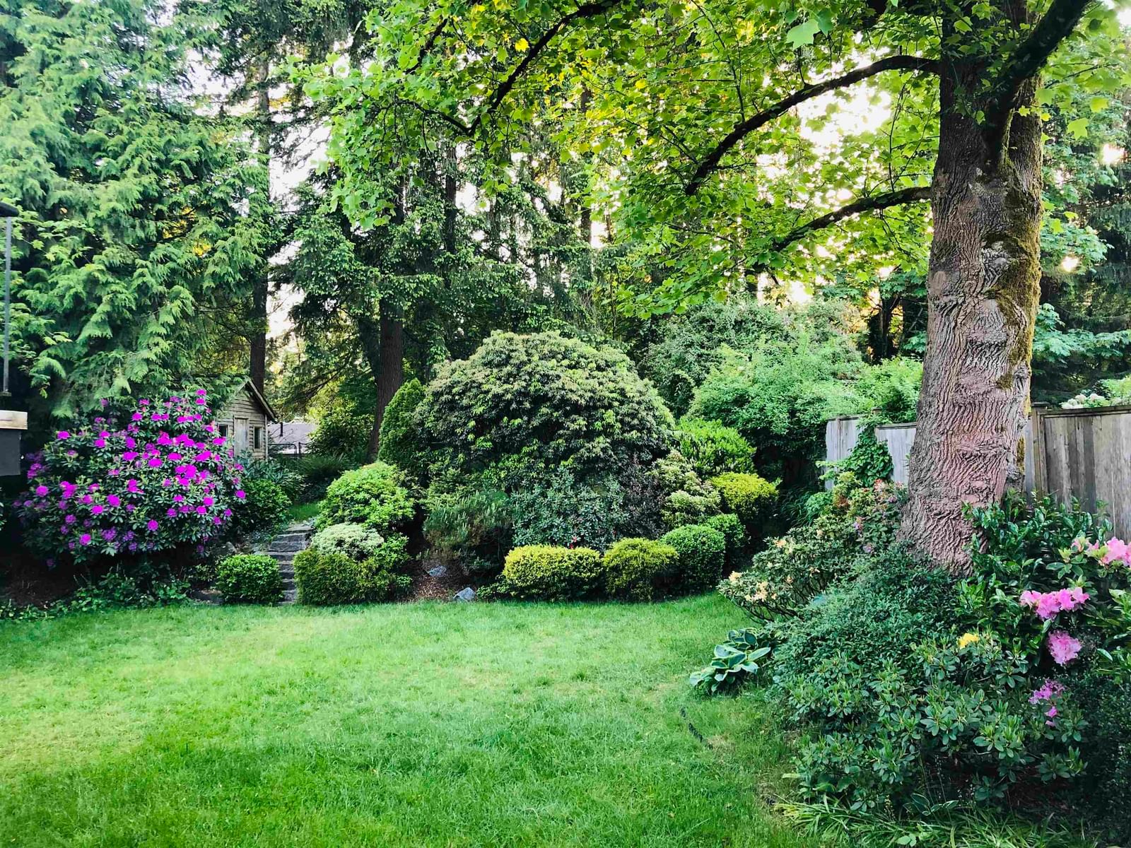 Listing Image 16