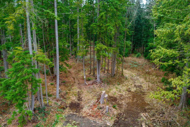 29809 Dewdney Trunk Road, Mission, V4S 1B7 | Image 3