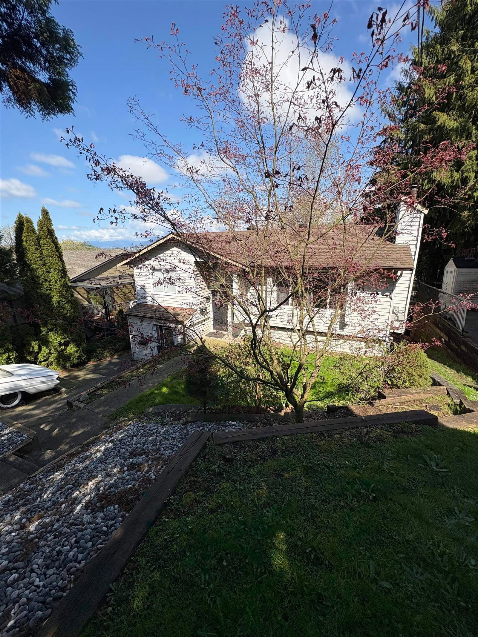 Listing Image 24