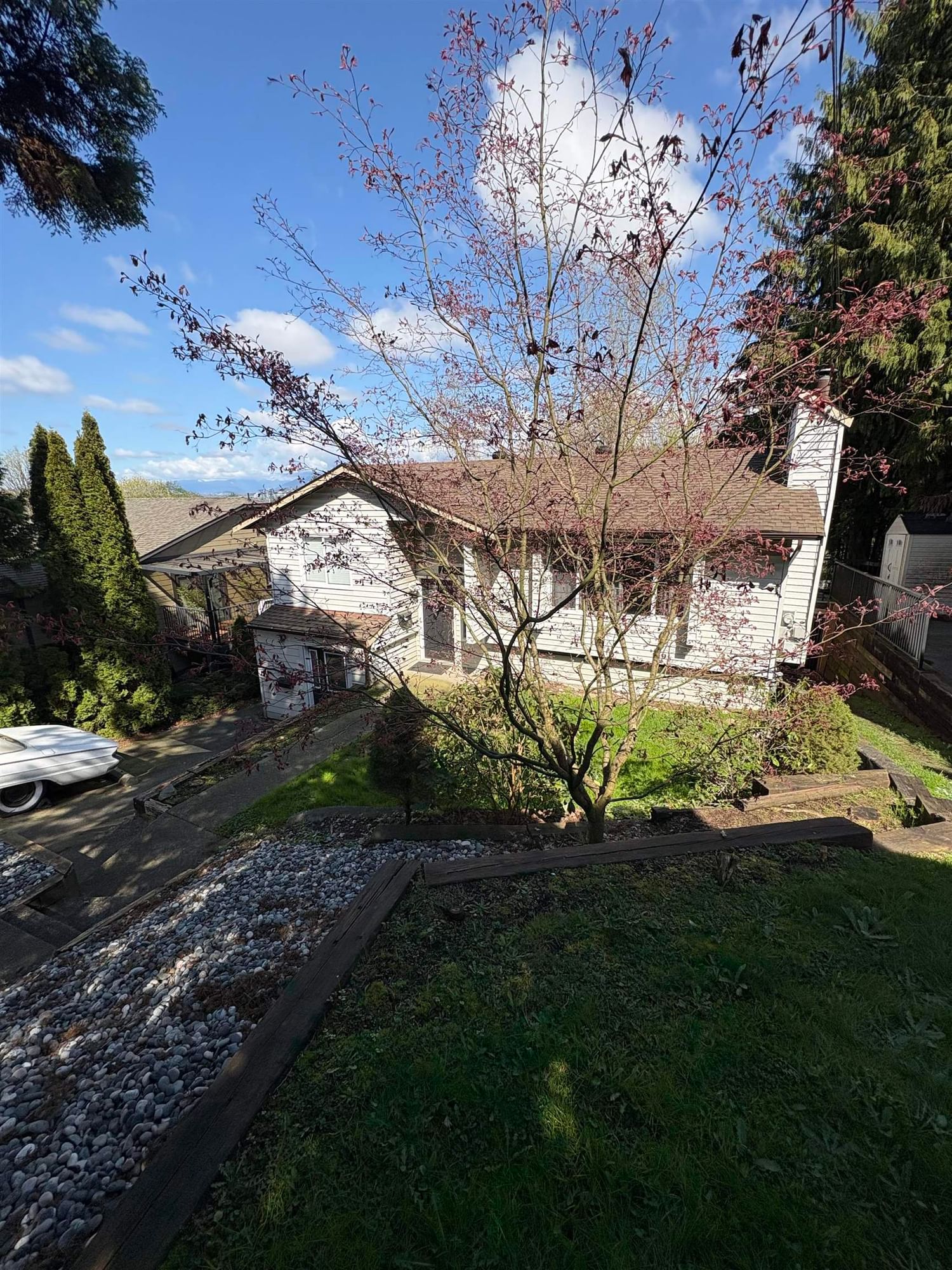 Listing Image 29