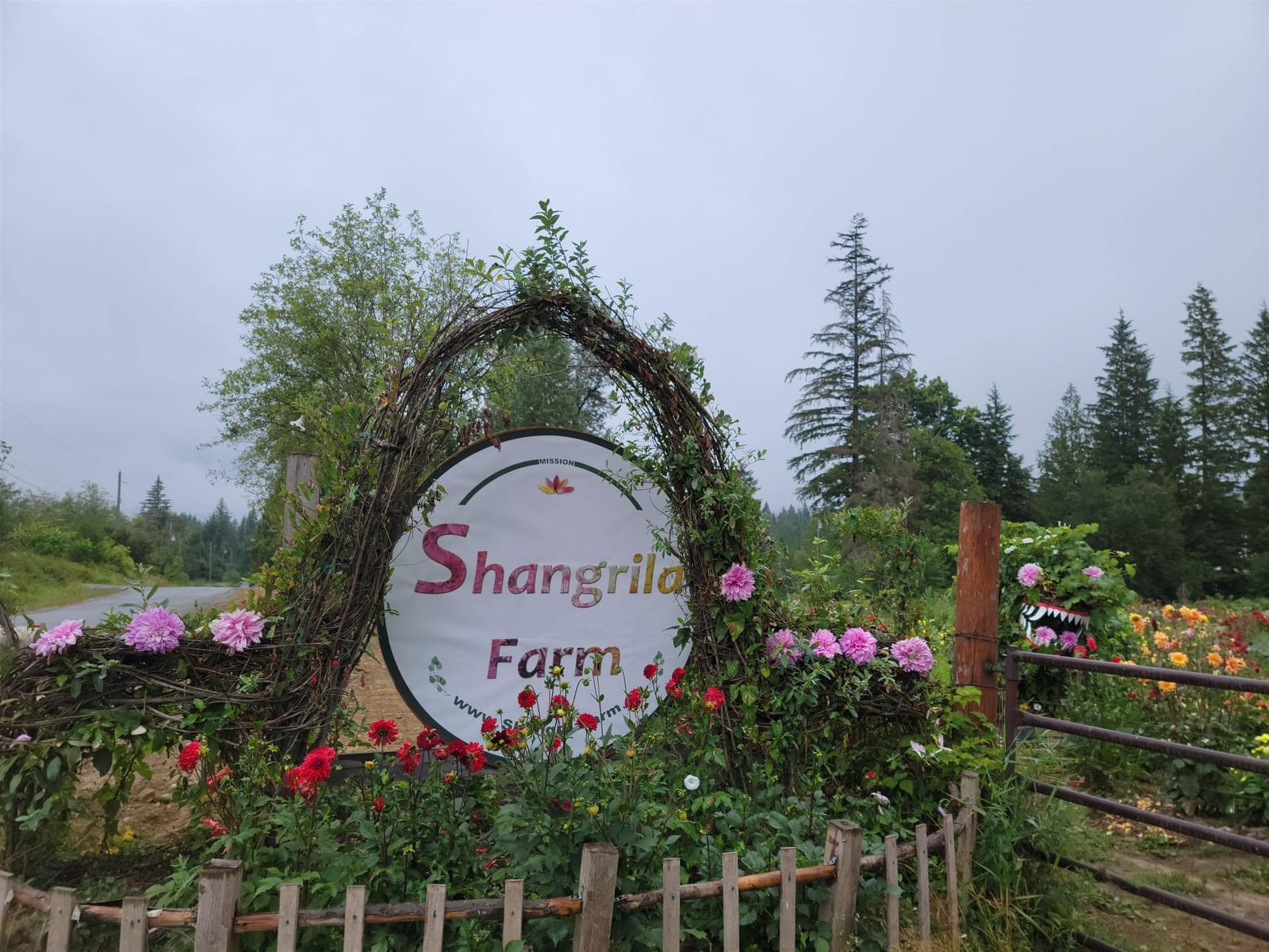 Listing Image 22