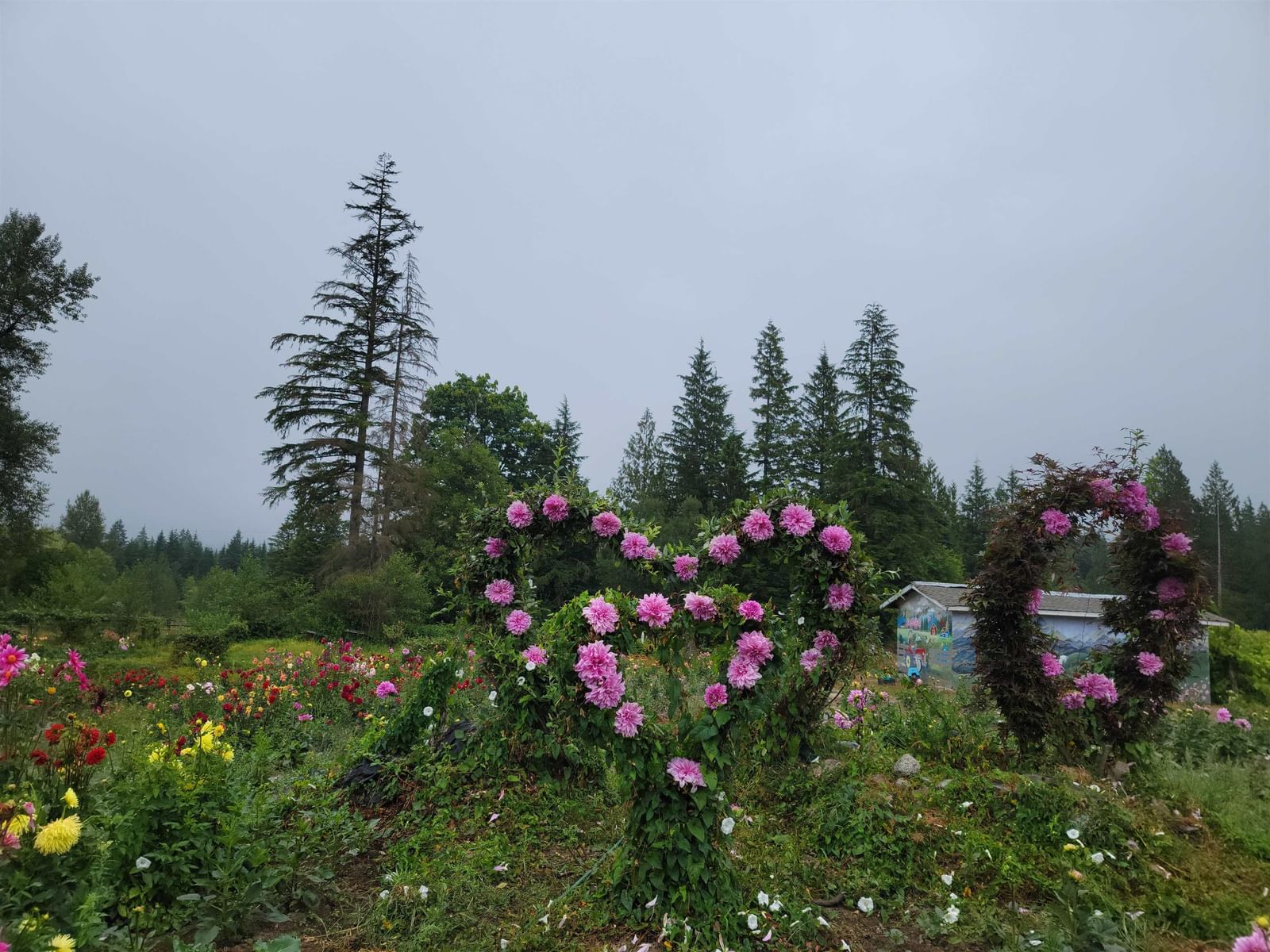 Listing Image 25
