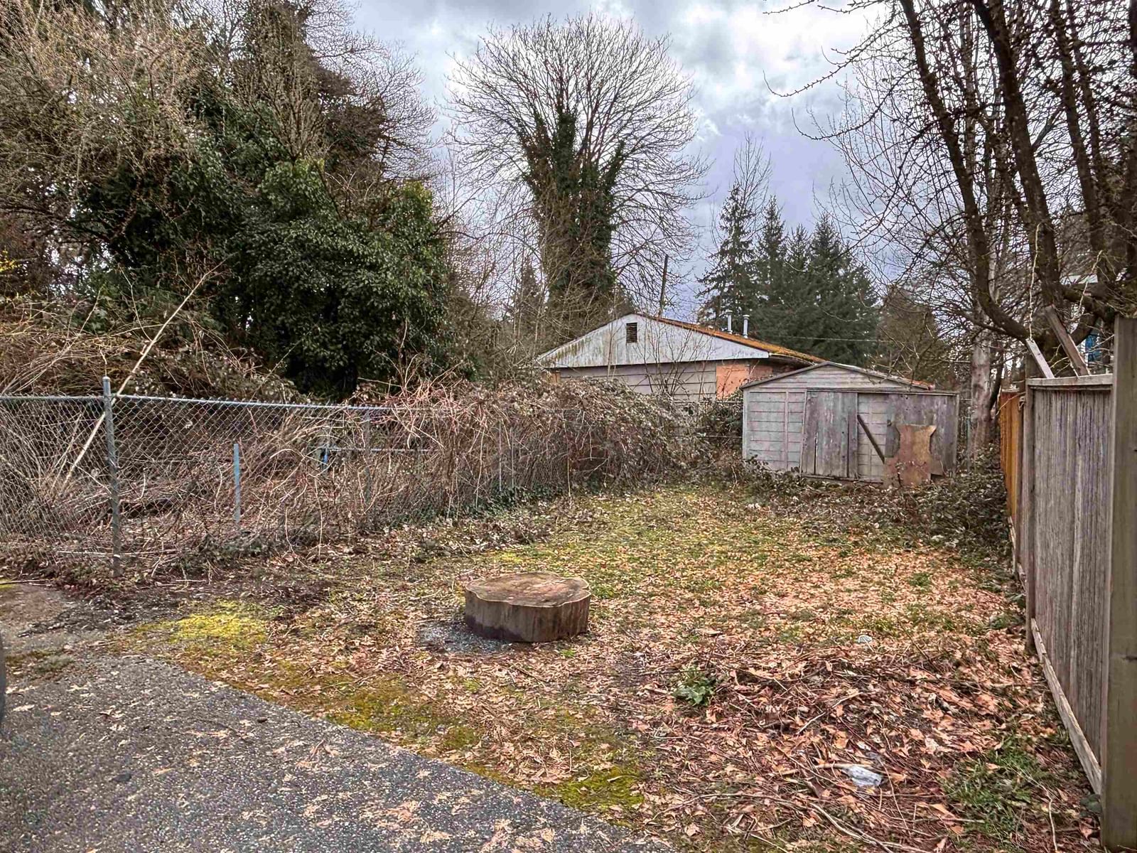 Listing Image 11
