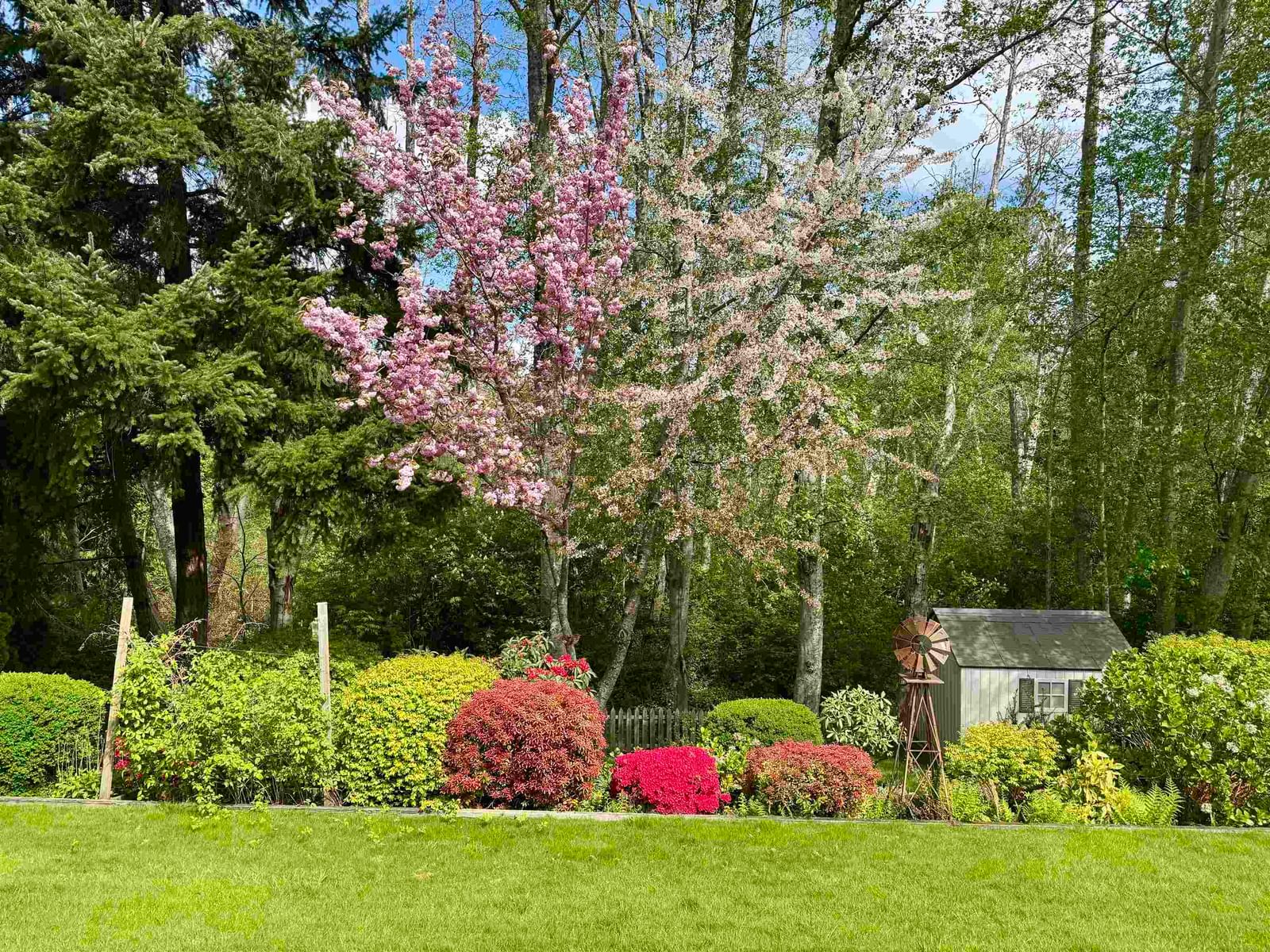 Listing Image 34