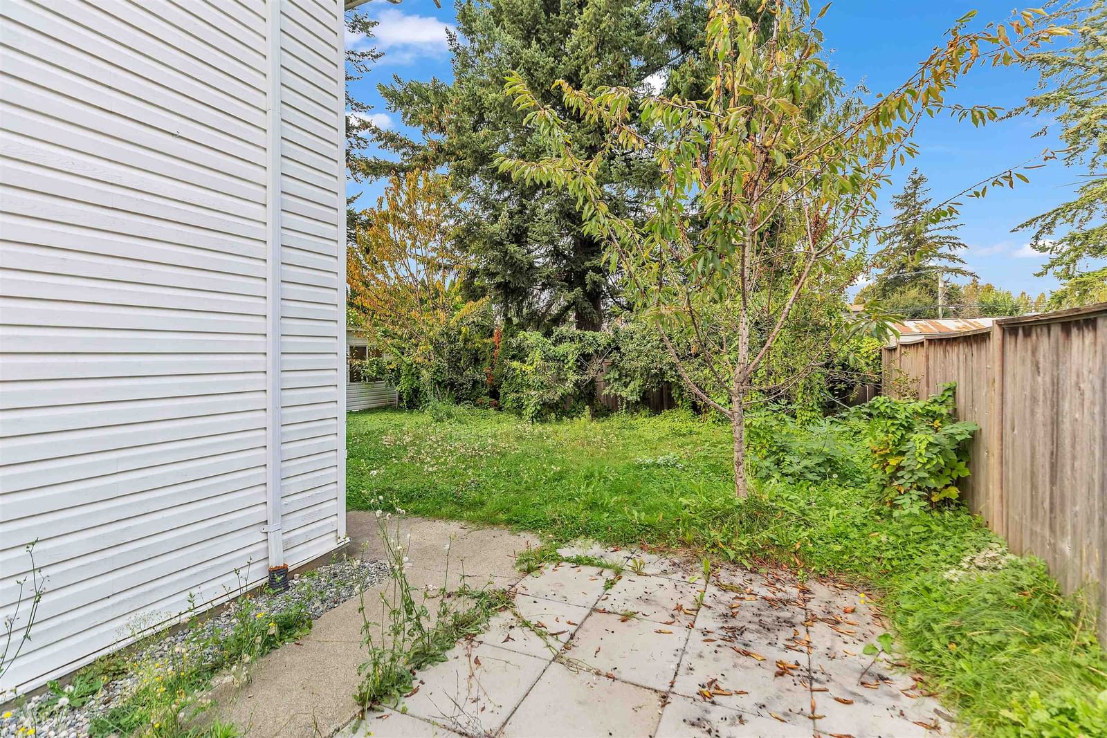 Listing Image 28