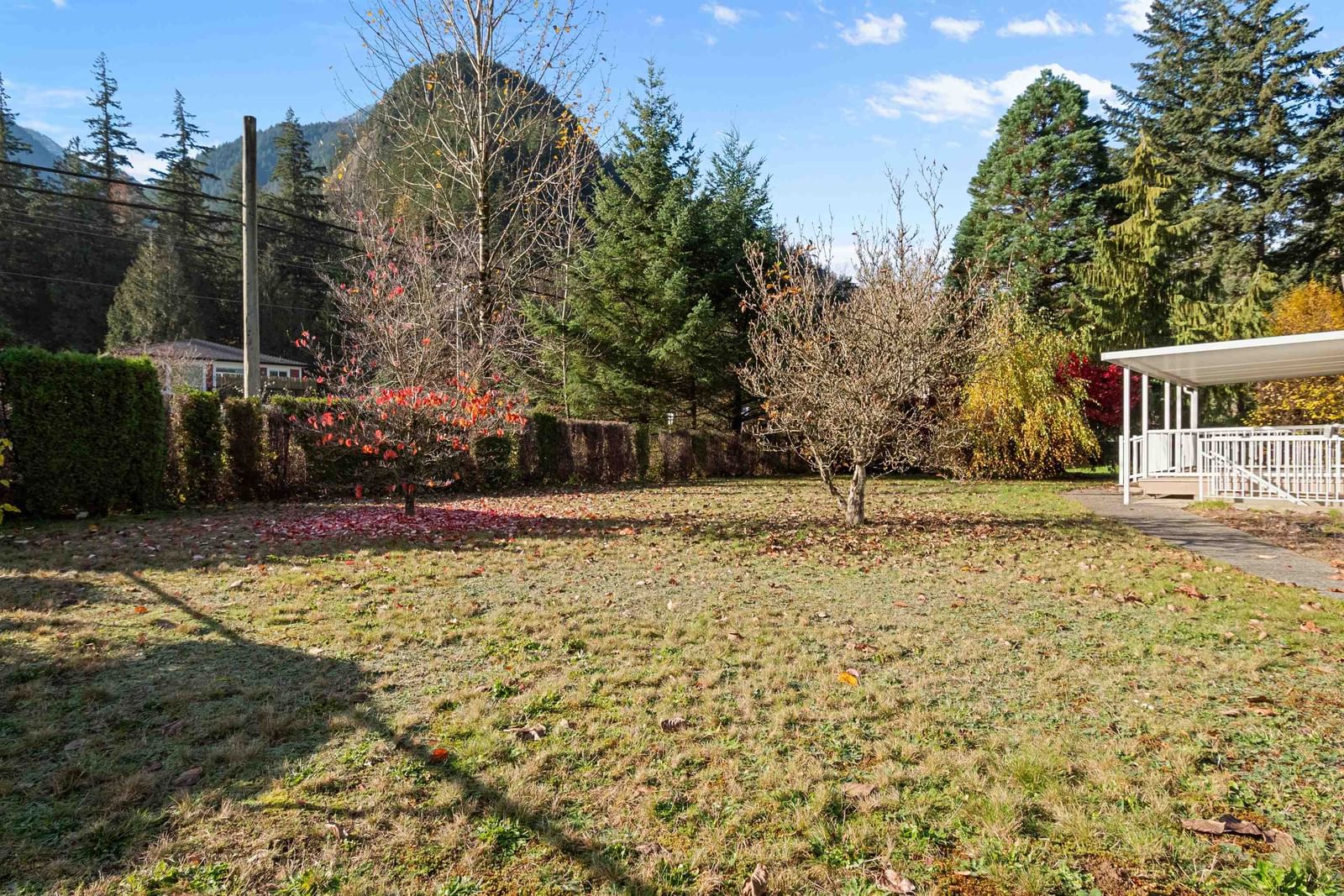 Listing Image 34