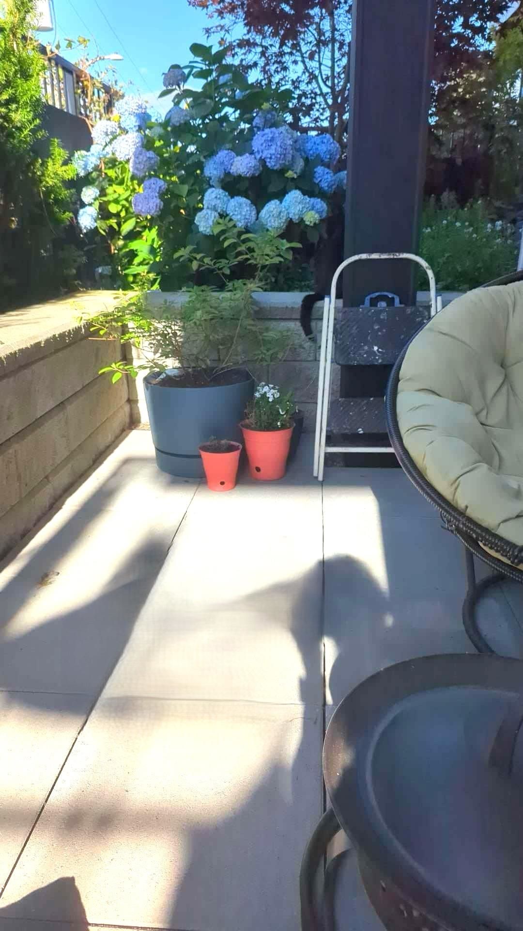 Listing Image 23