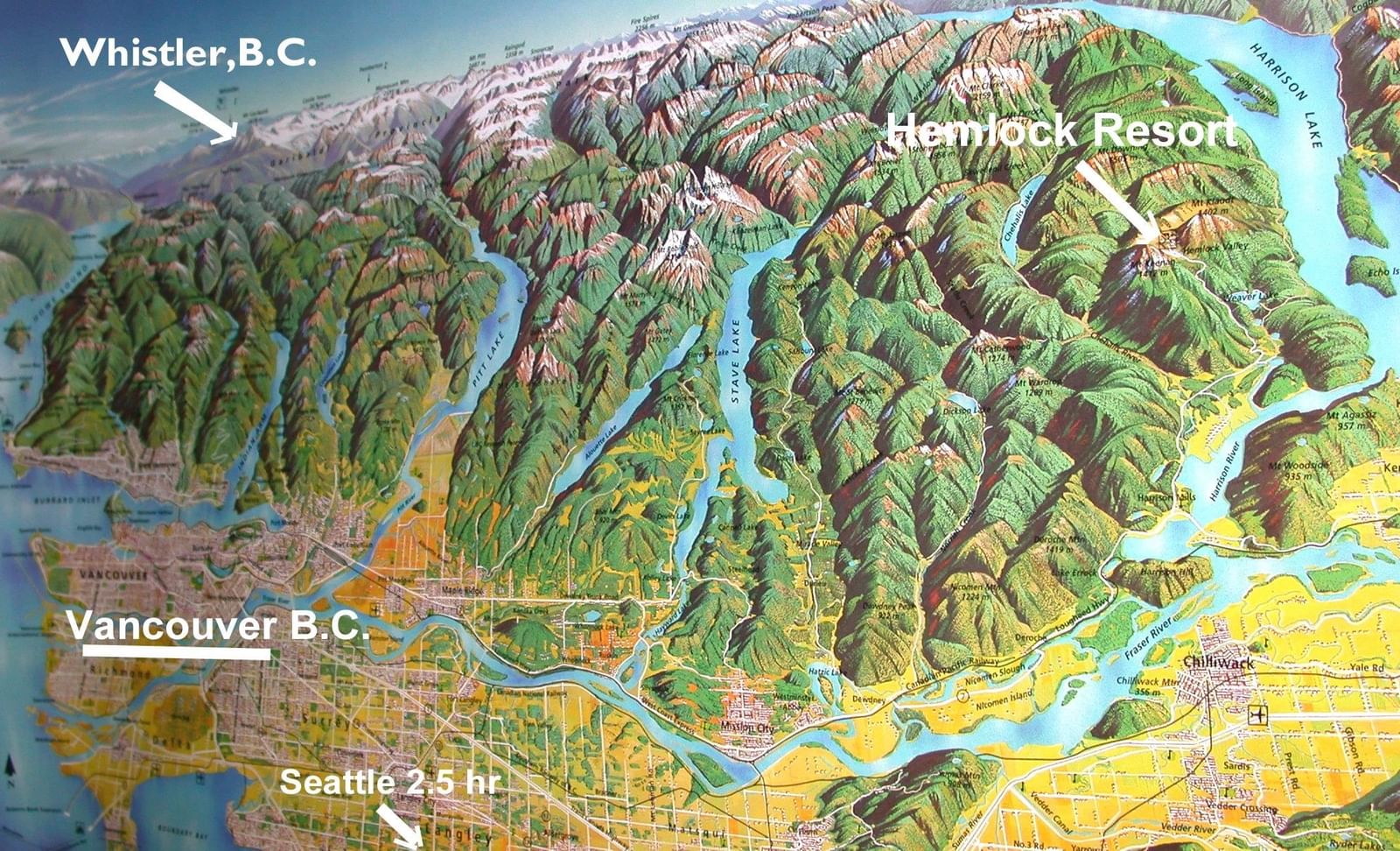 Listing Image 1