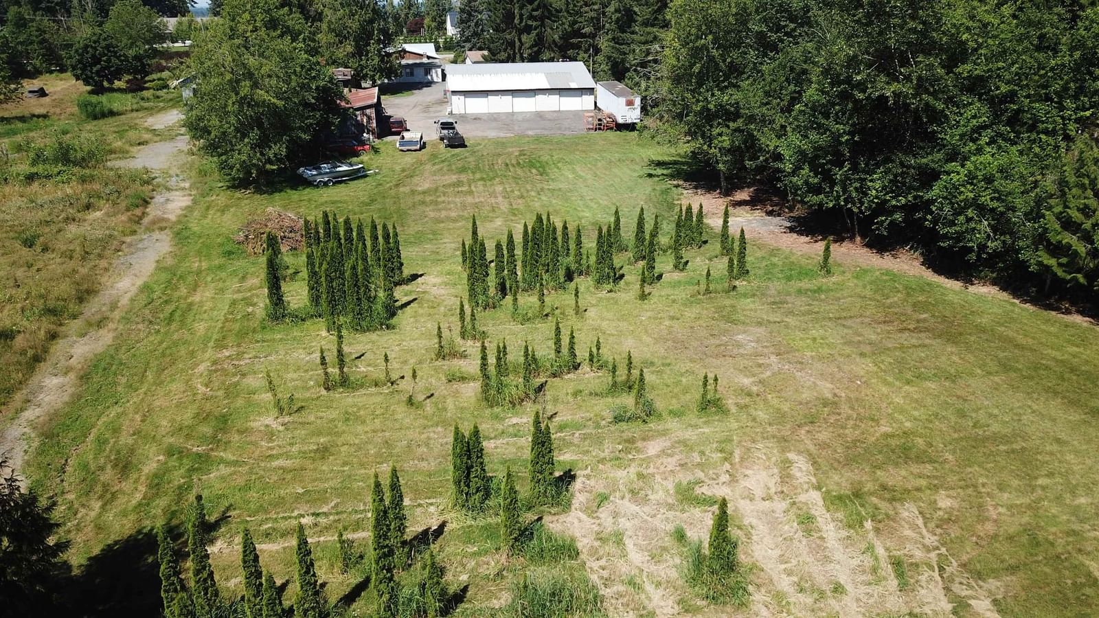 Listing Image 11