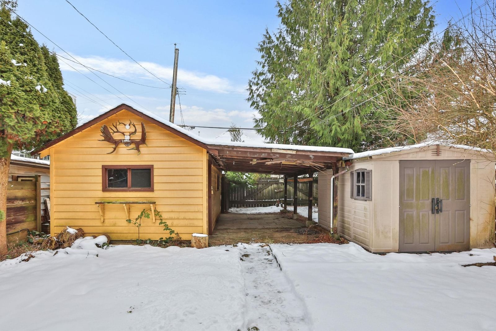 Listing Image 19