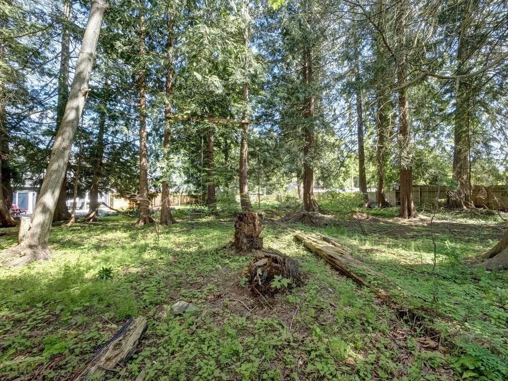 Listing Image 39