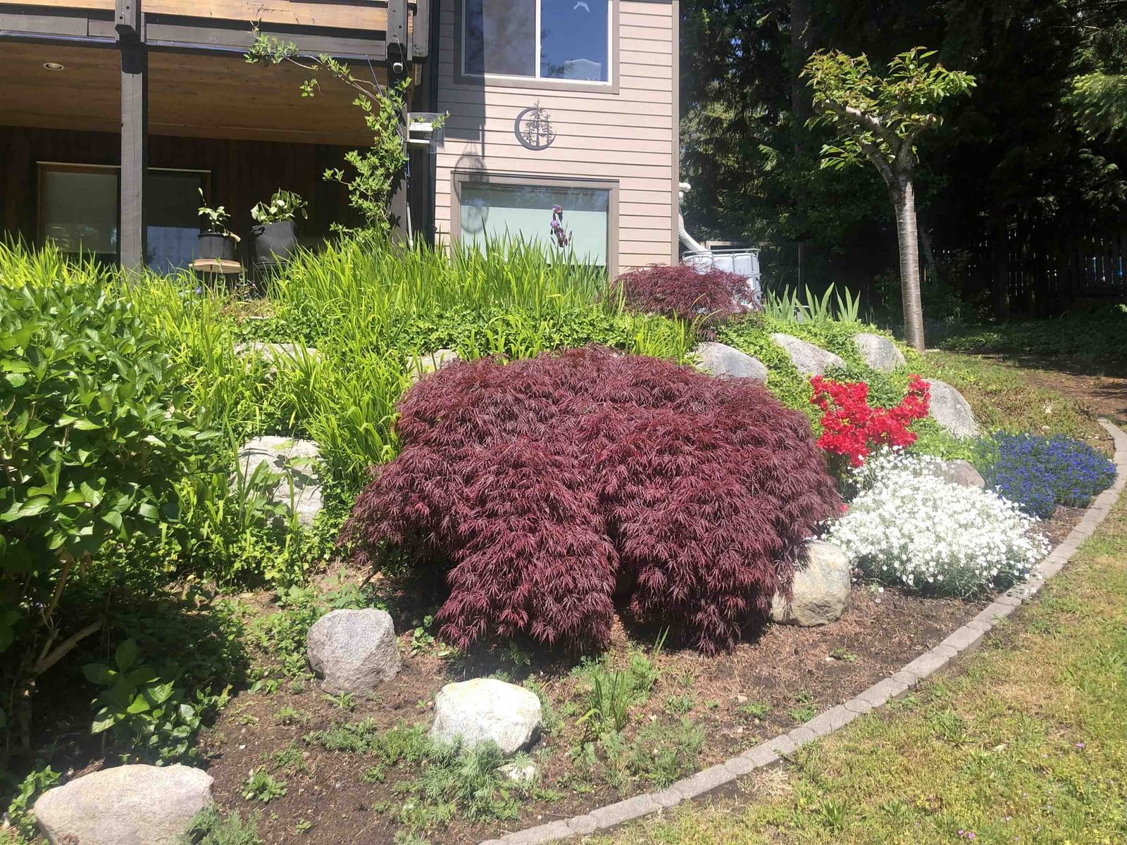 Listing Image 38