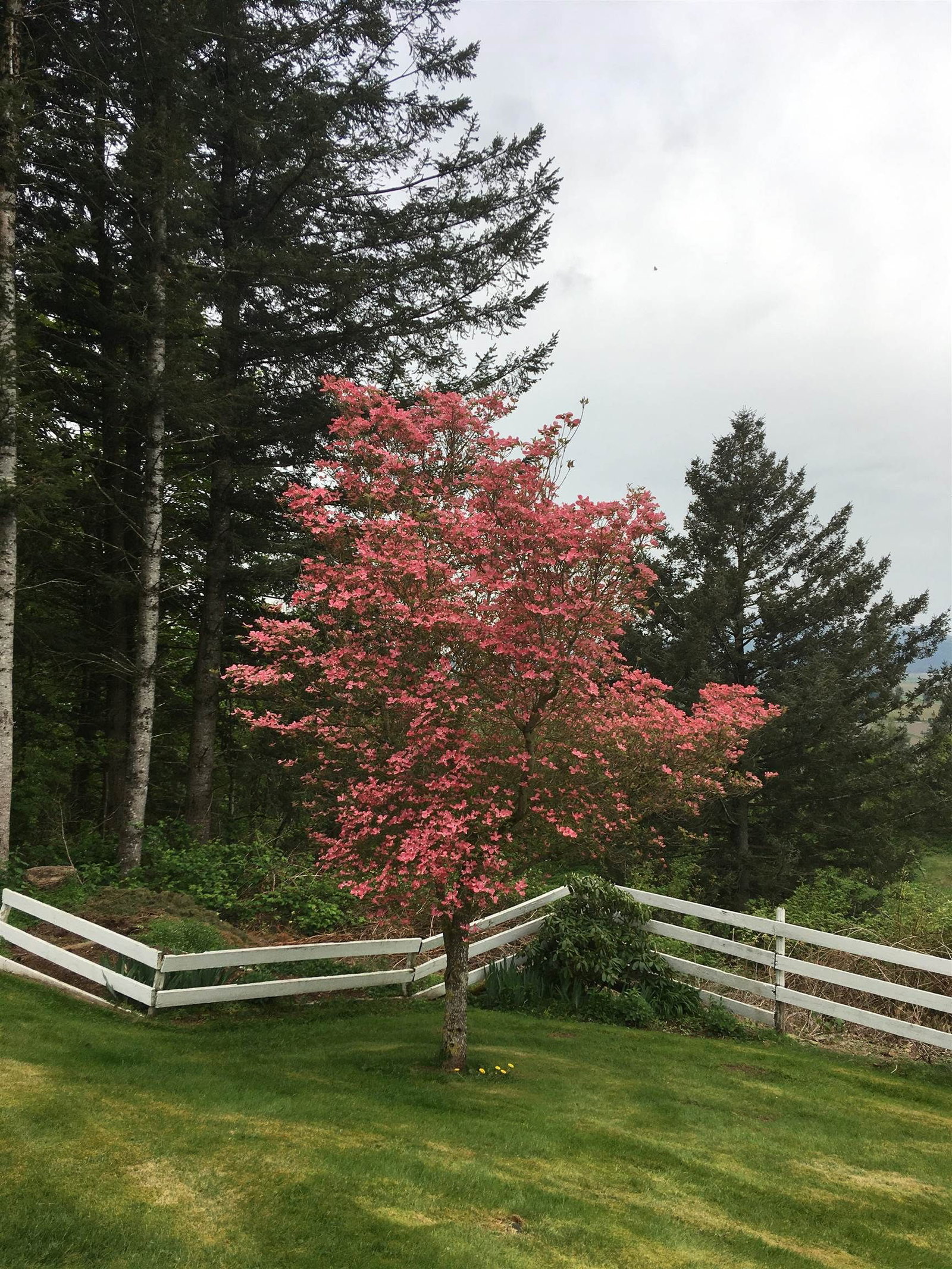 Listing Image 18