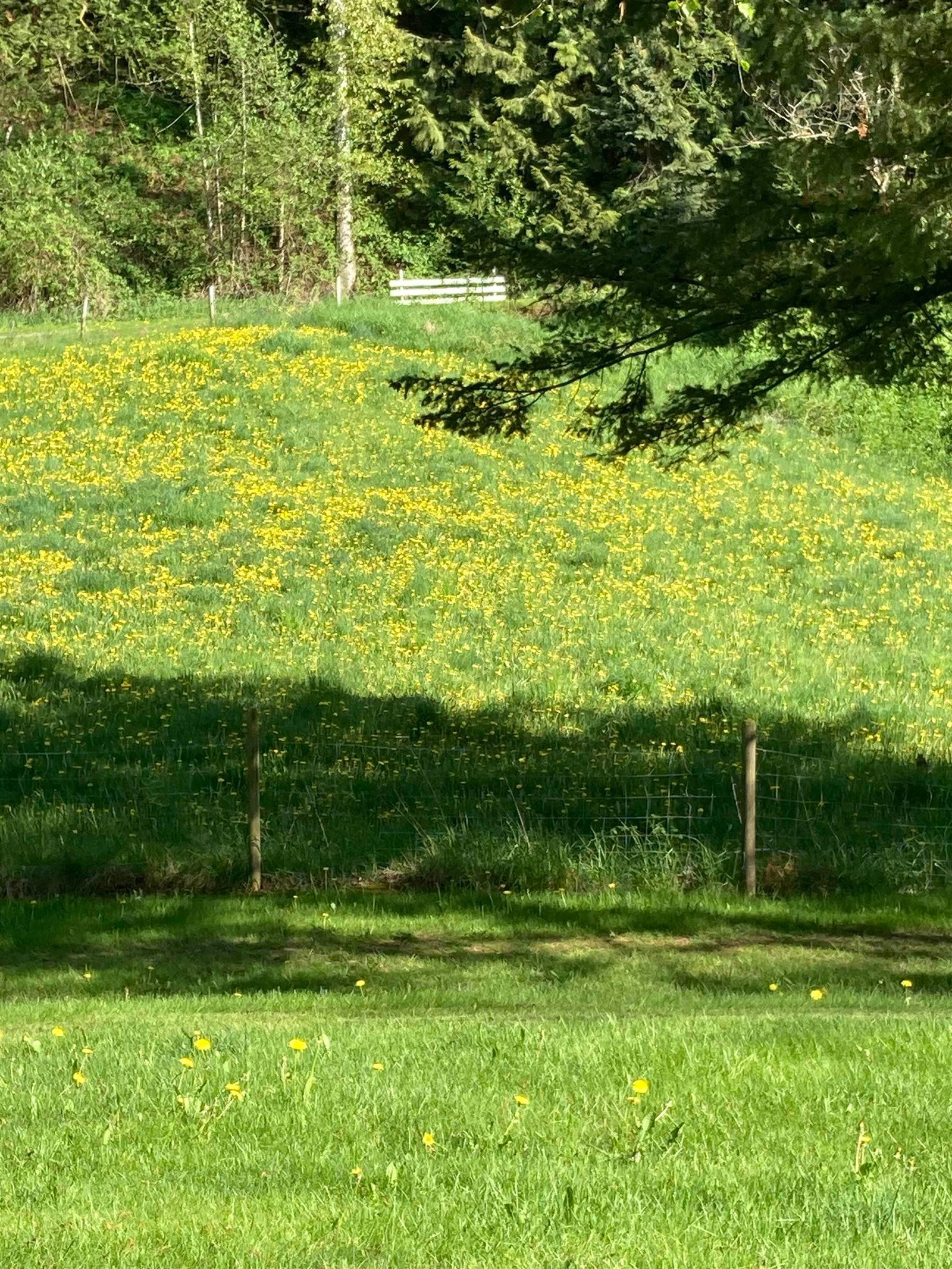 Listing Image 27