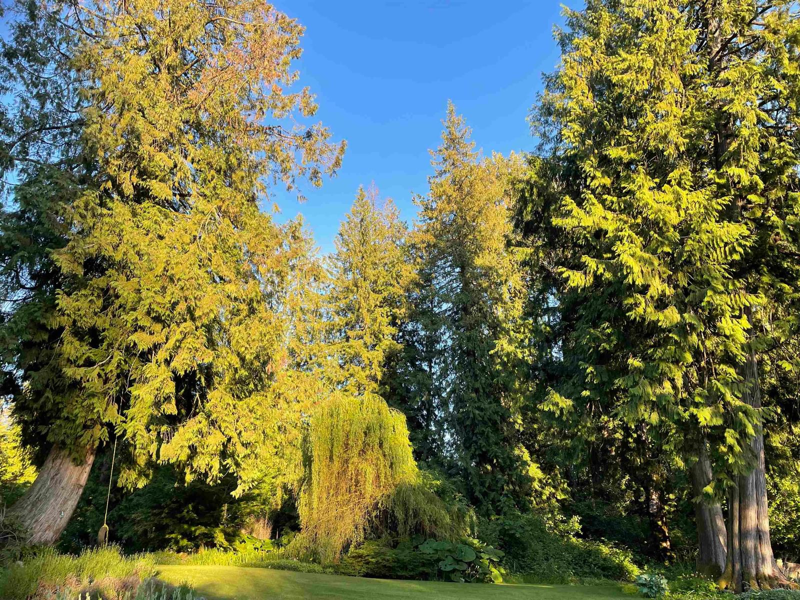 Listing Image 31