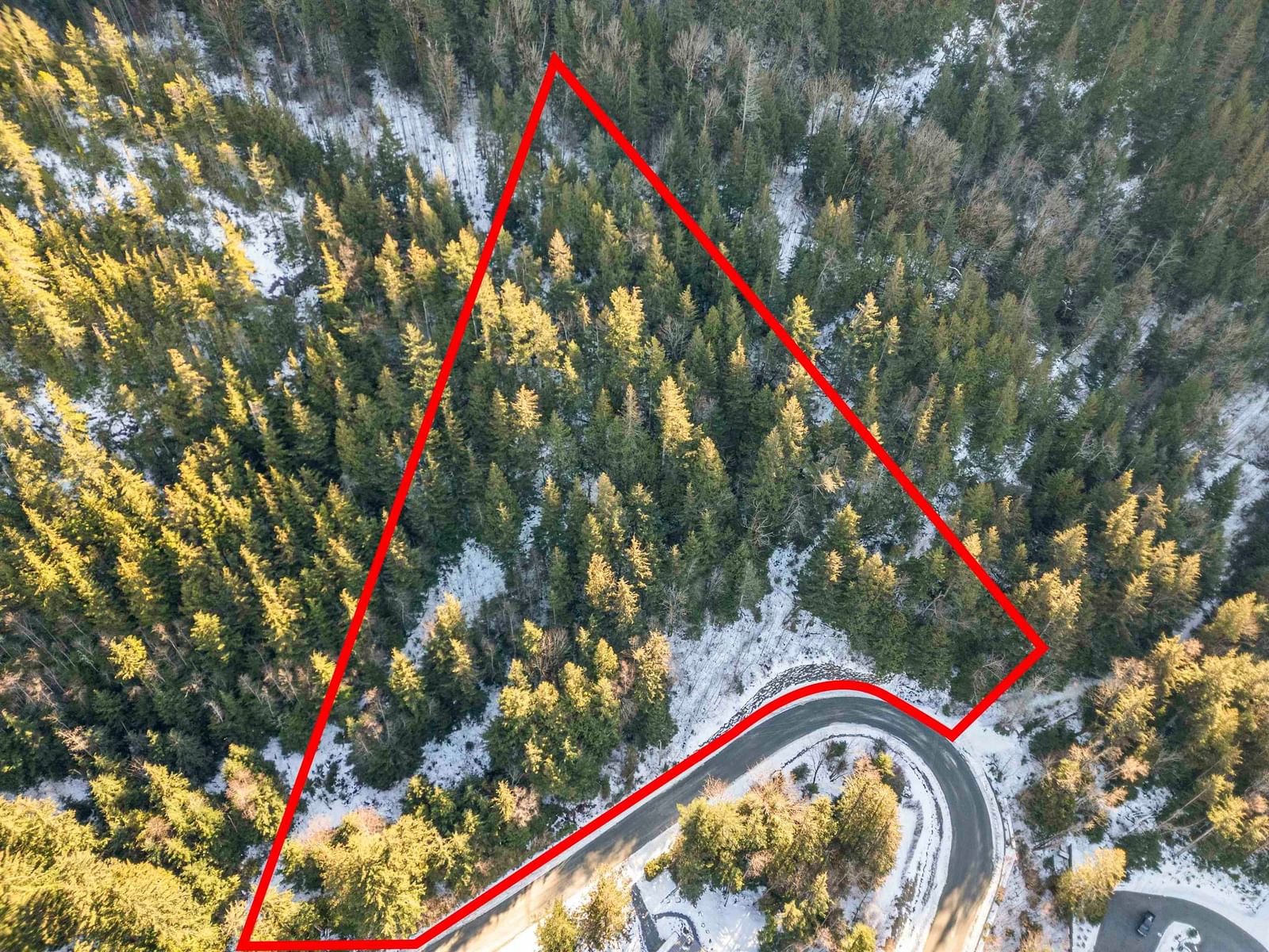 Listing Image 13