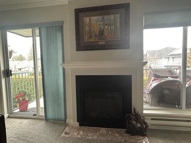 Listing Image 16