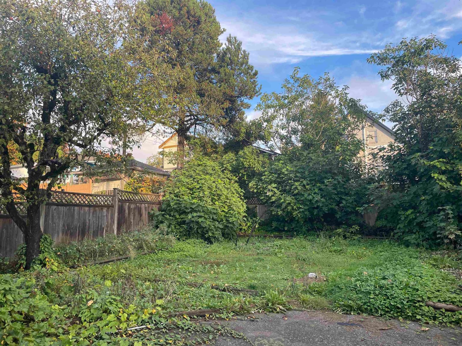 Listing Image 8
